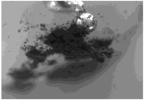 Nanomaterials 10 01536 i003