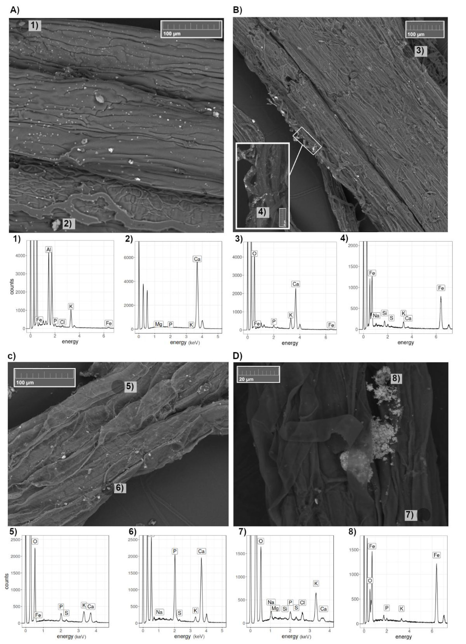 Nanomaterials 10 01537 g003 Nanomaterials 10 01537 g003