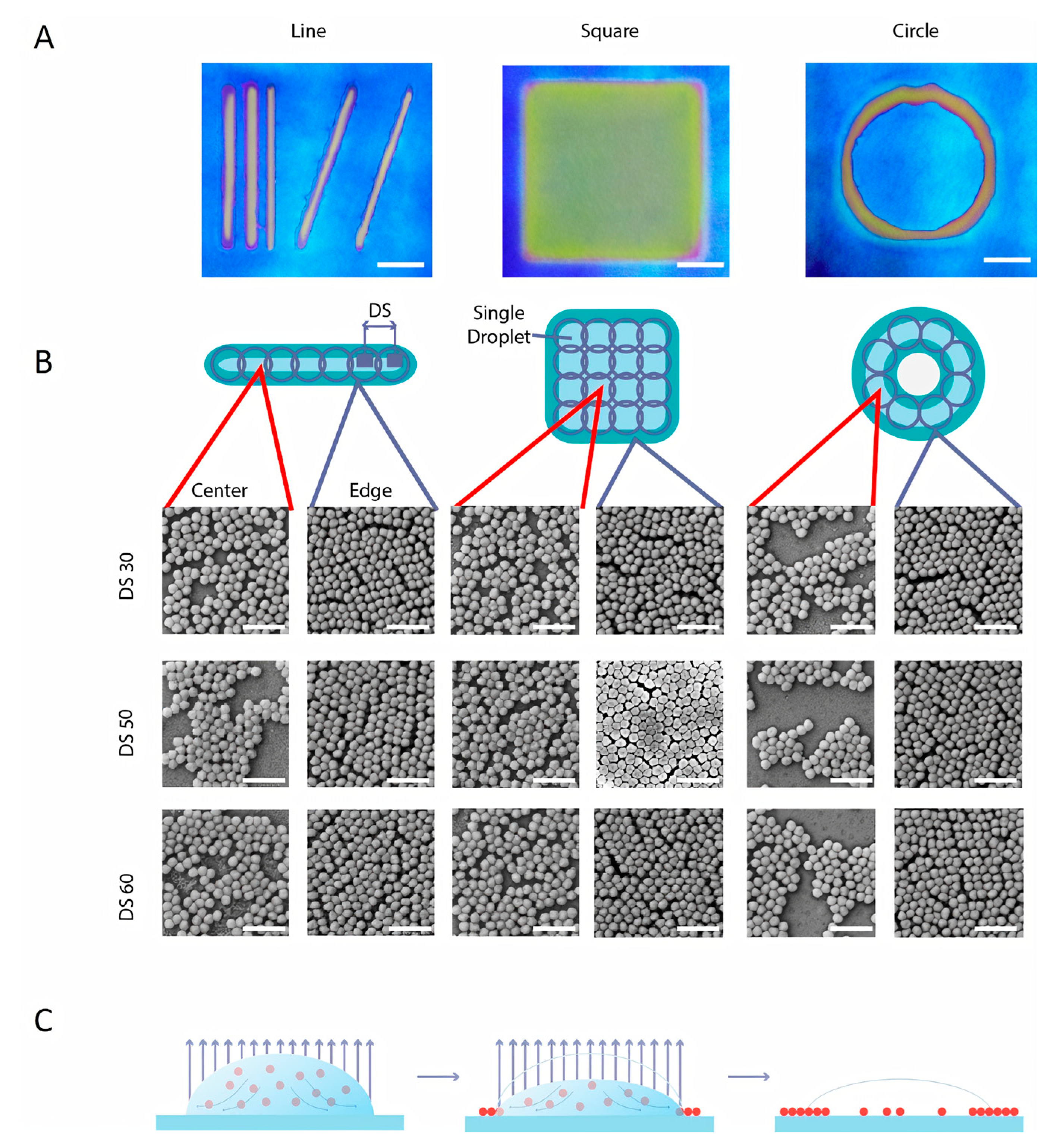Nanomaterials 10 01538 g003 Nanomaterials 10 01538 g003