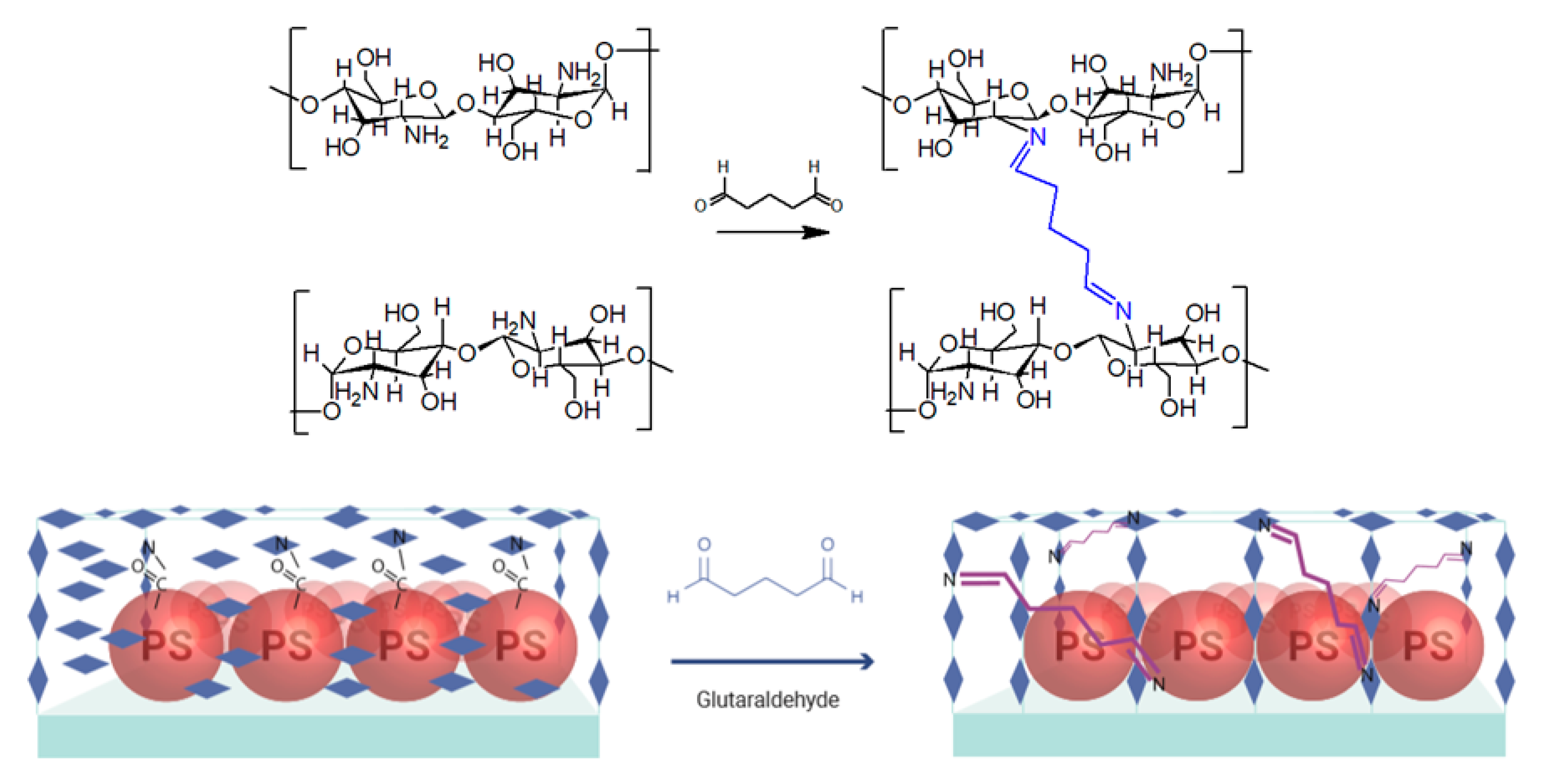 Nanomaterials 10 01538 g006 Nanomaterials 10 01538 g006