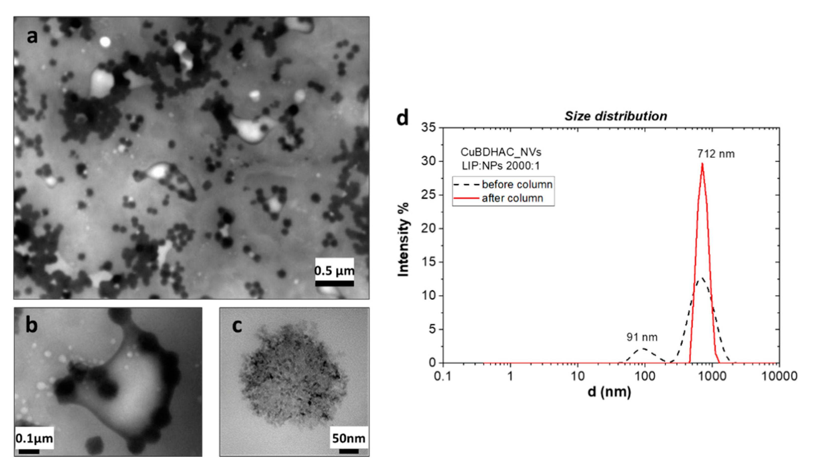Nanomaterials 10 01542 g005 Nanomaterials 10 01542 g005