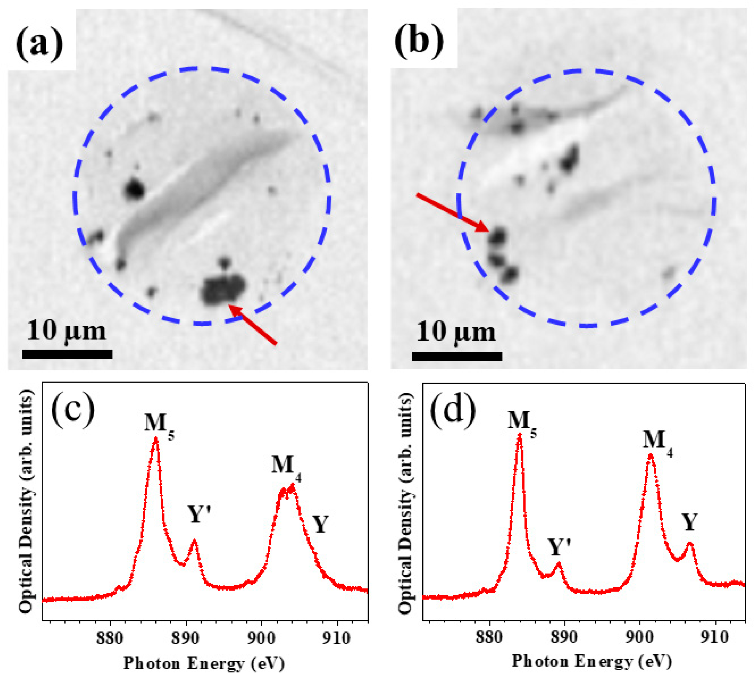 Nanomaterials 10 01543 g003
