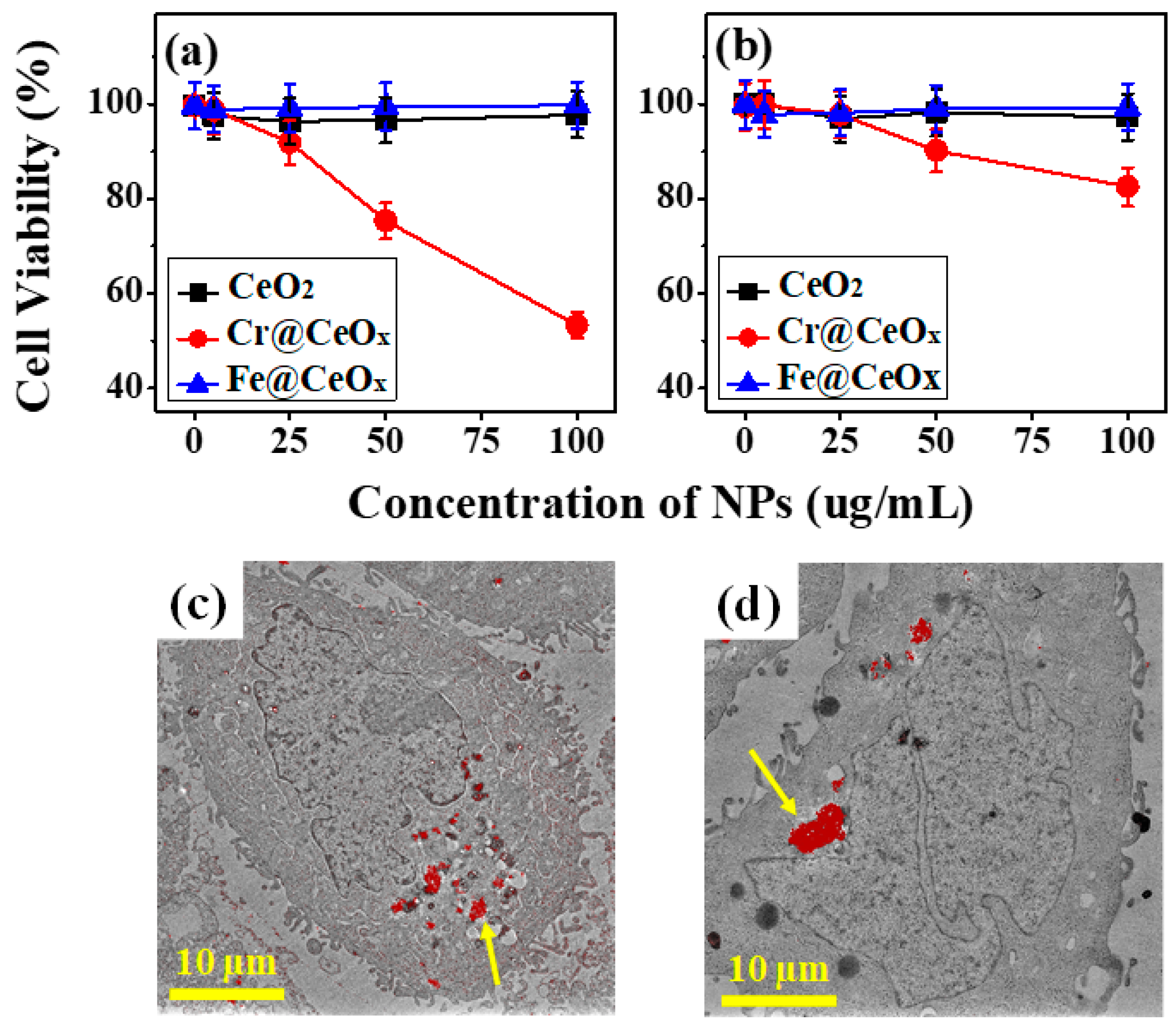 Nanomaterials 10 01543 g004