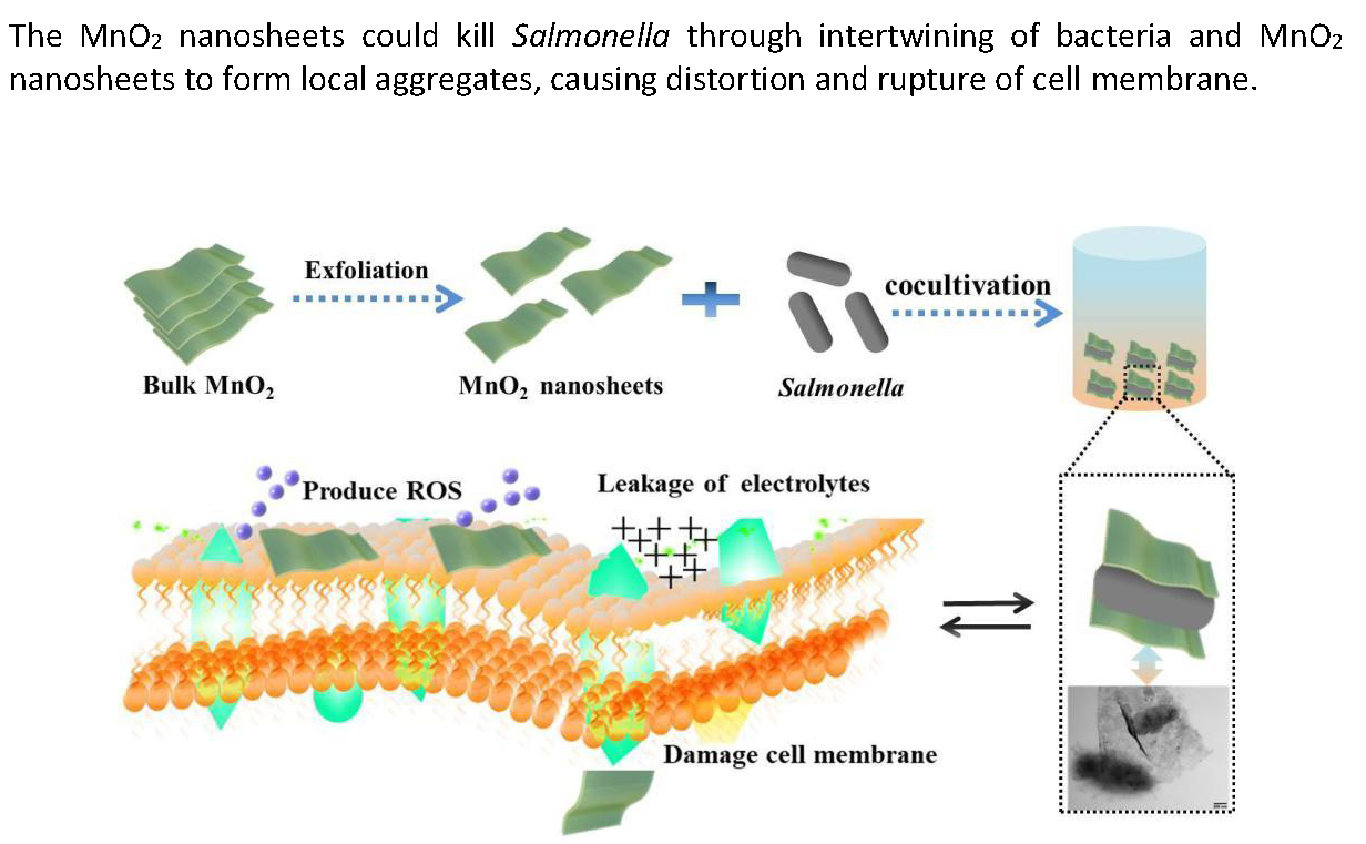 Nanomaterials | Free Full-Text | Antibacterial Activity of Manganese ...