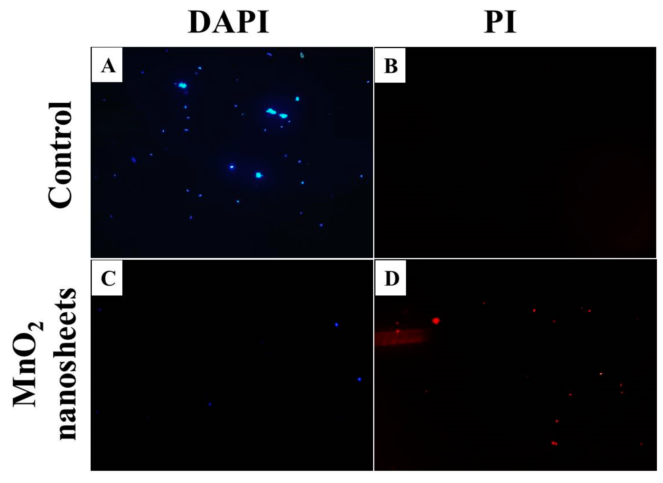 Nanomaterials 10 01545 g005