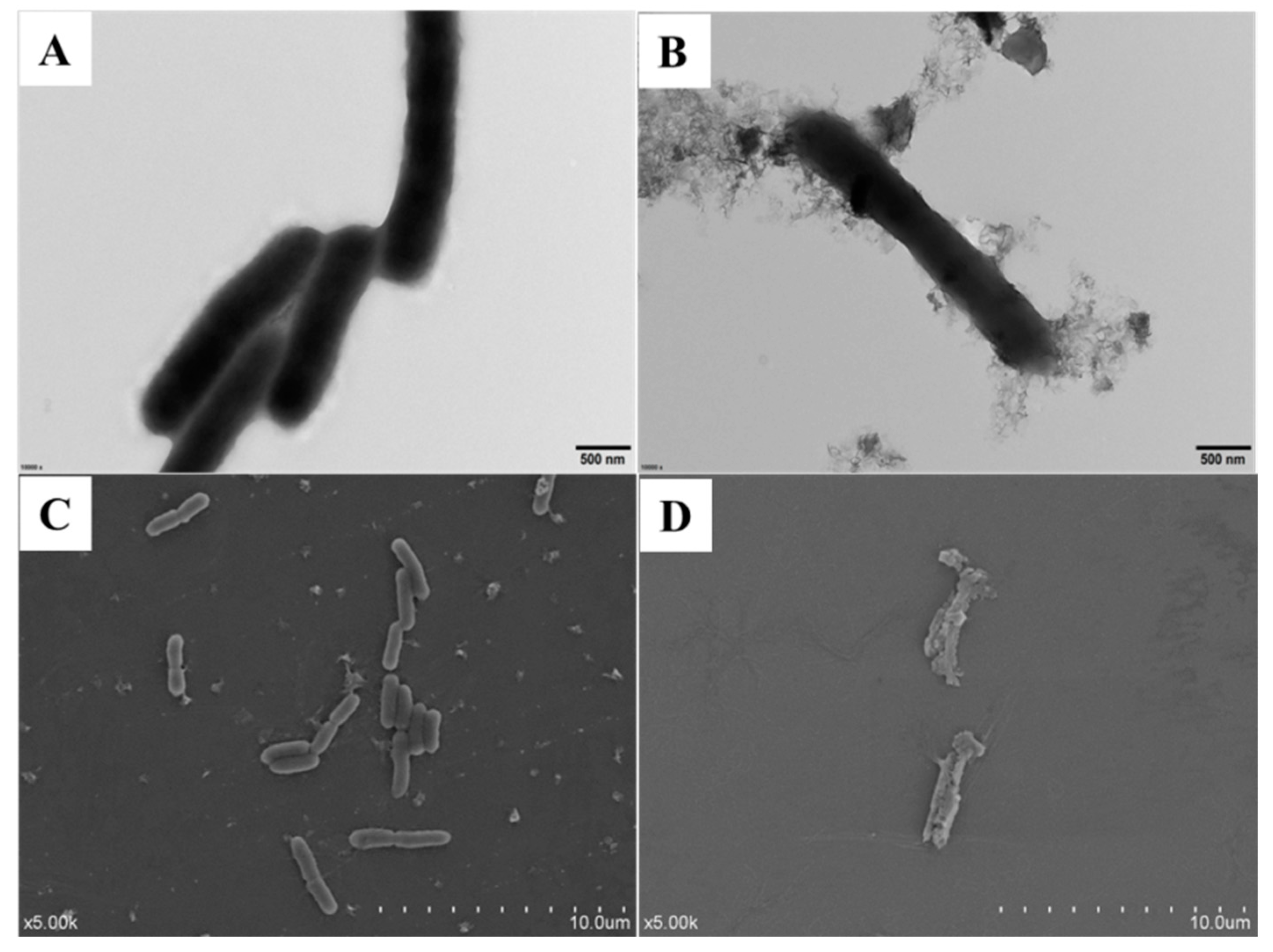 Nanomaterials 10 01545 g007