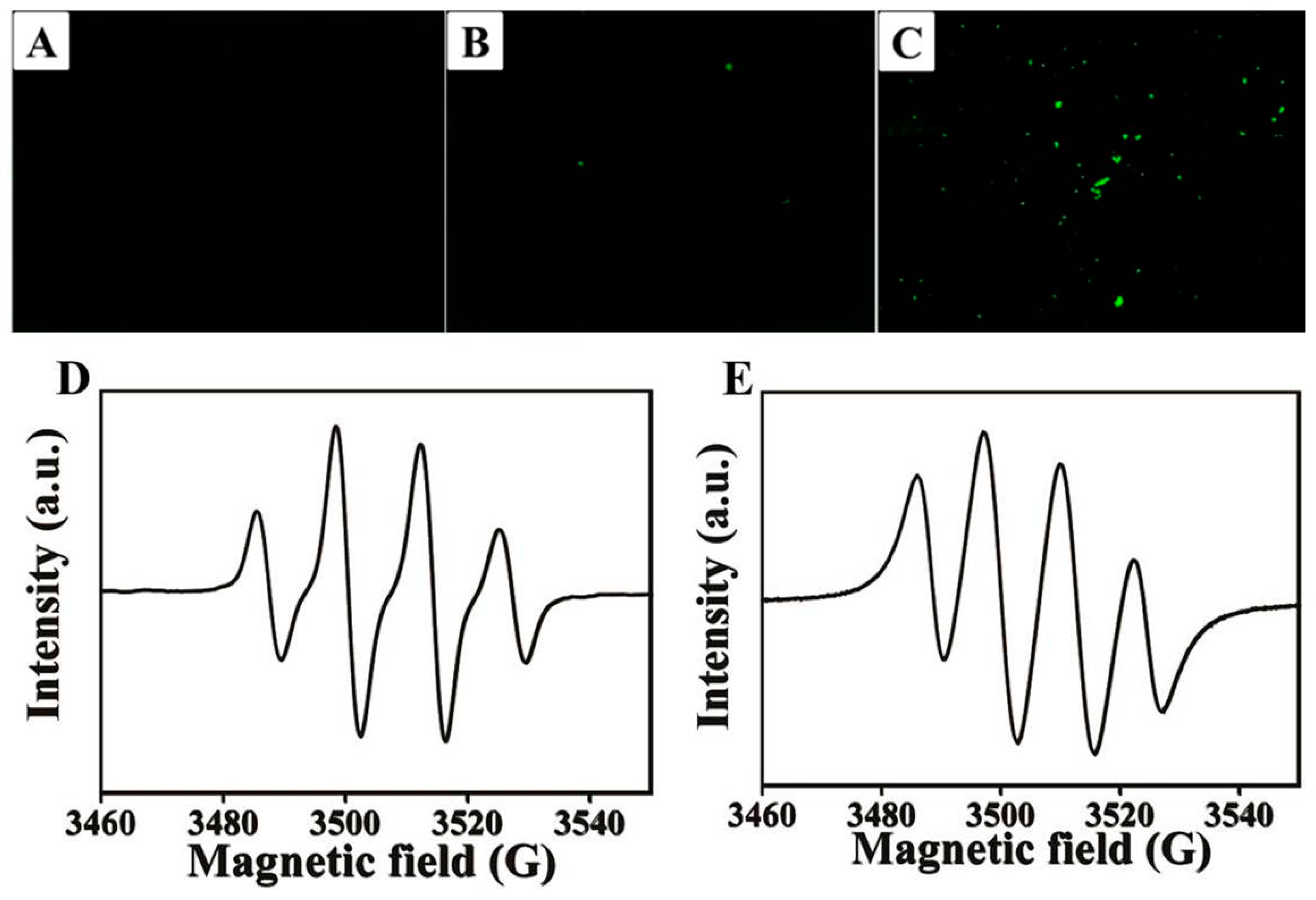 Nanomaterials 10 01545 g008