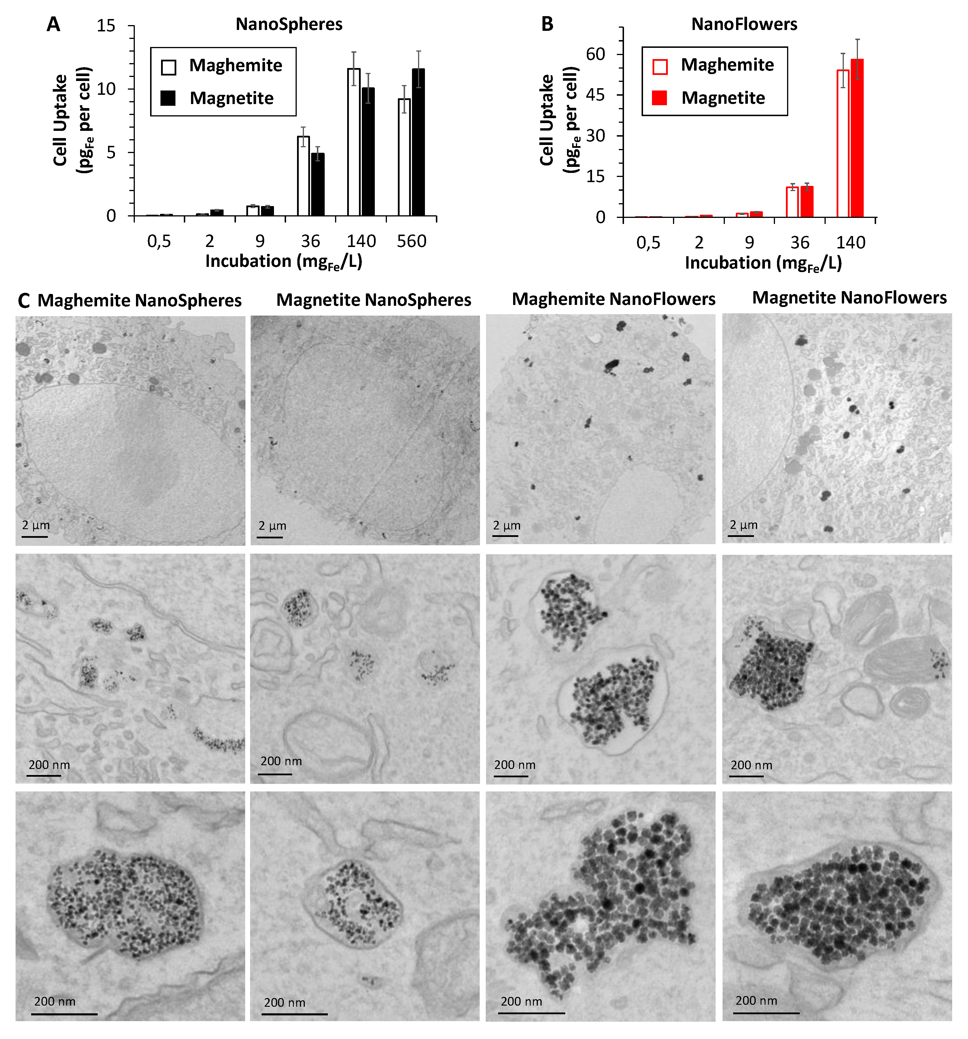Nanomaterials 10 01548 g004 Nanomaterials 10 01548 g004