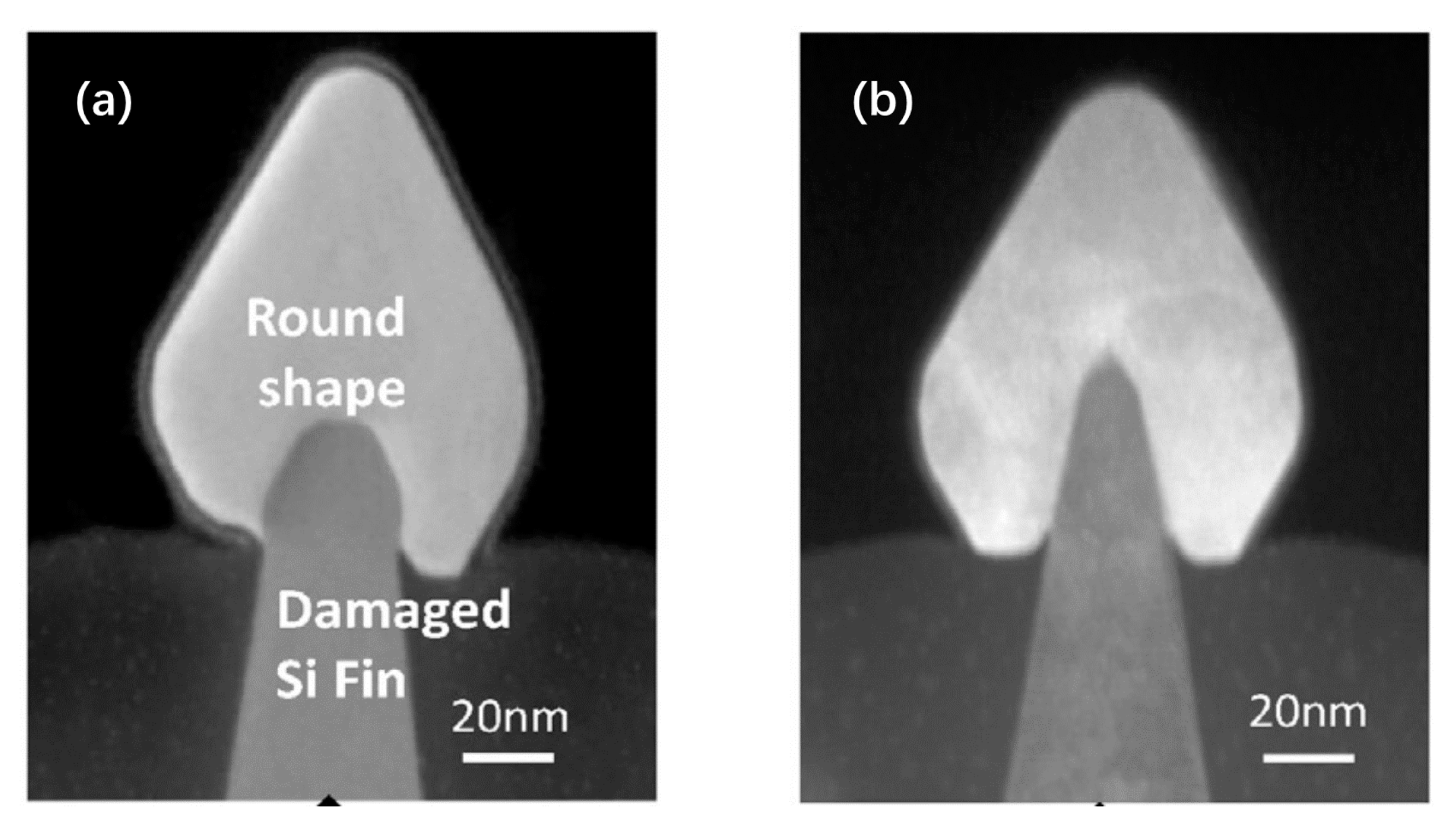 Nanomaterials 10 01555 g019