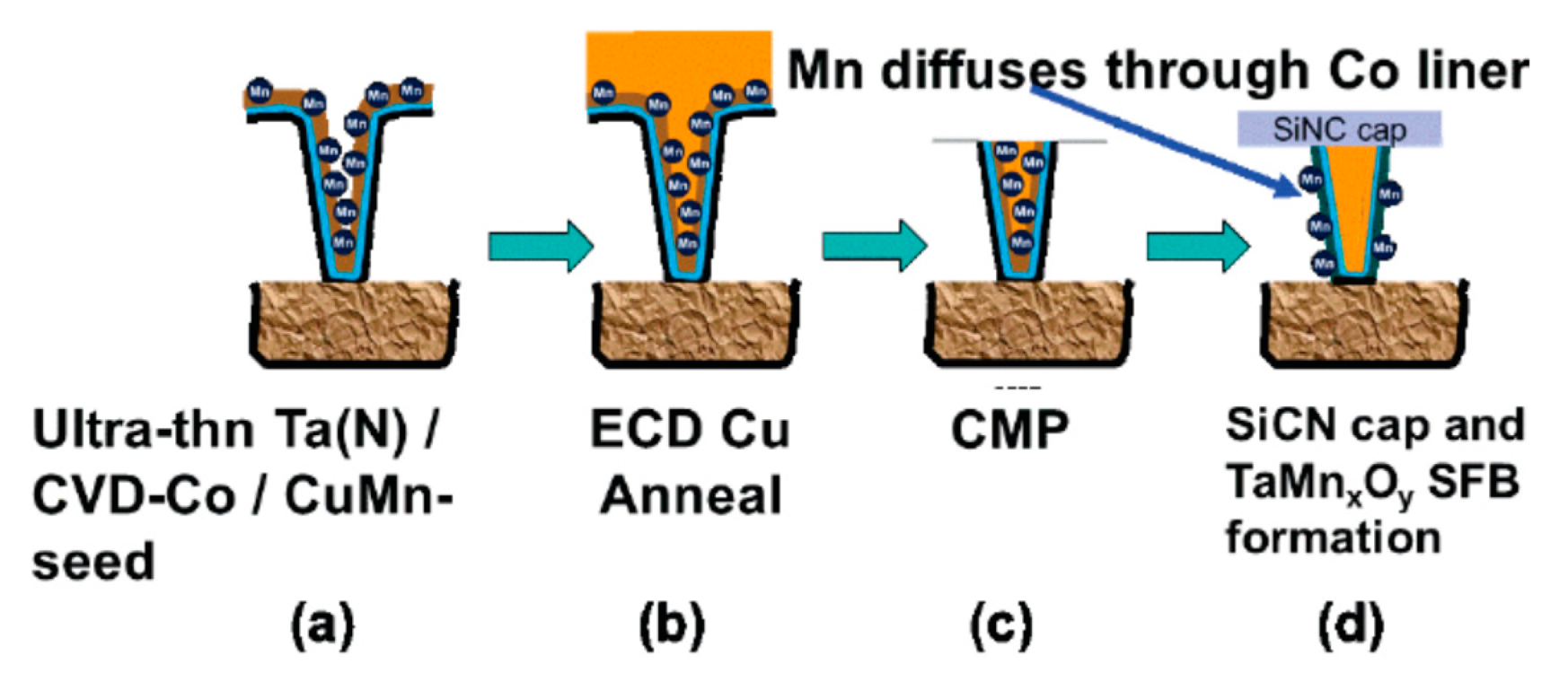 Nanomaterials 10 01555 g041