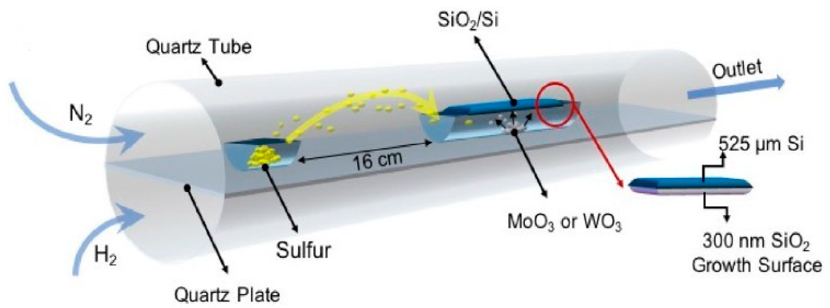 Nanomaterials 10 01555 g060