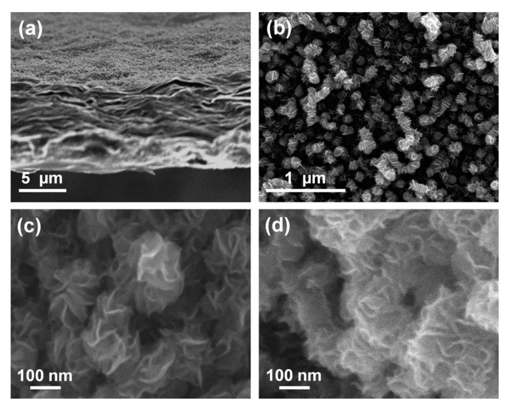 Nanomaterials 10 01555 g061