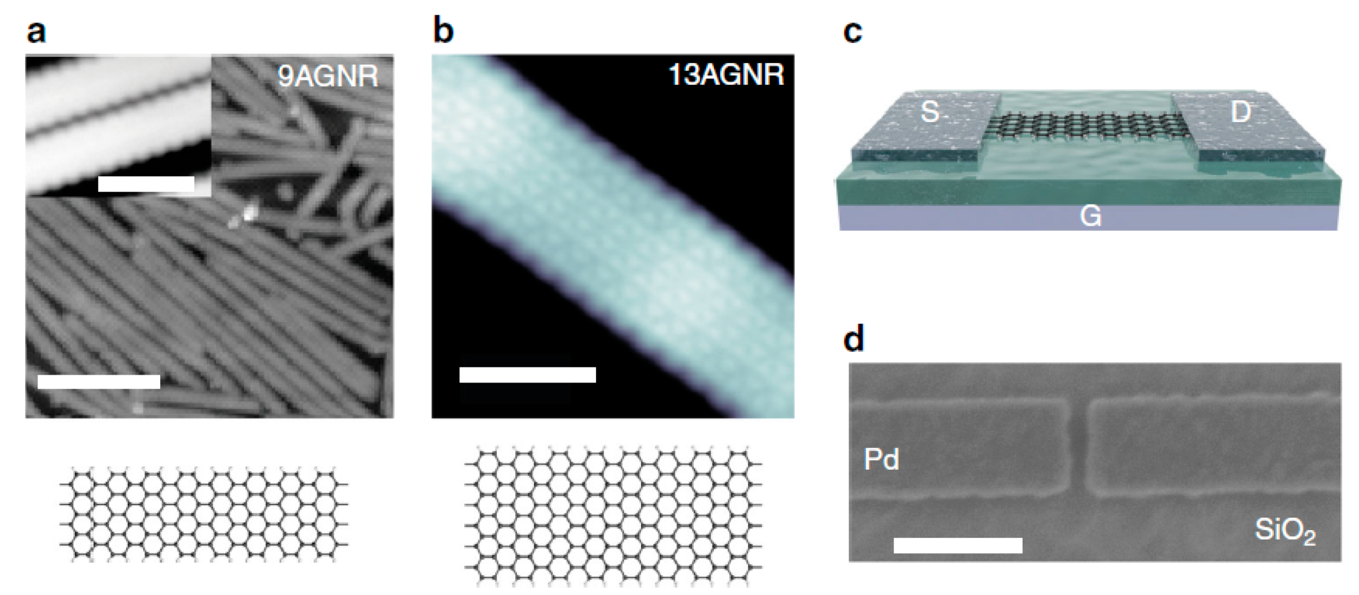 Nanomaterials 10 01555 g062