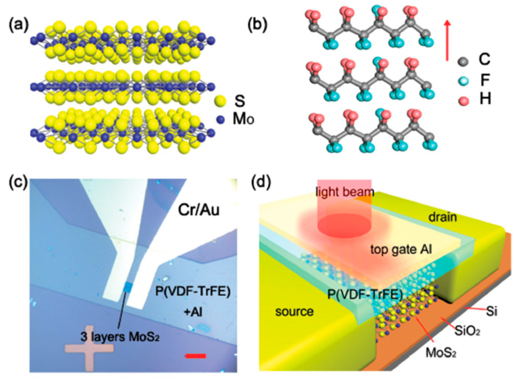 Nanomaterials 10 01555 g063