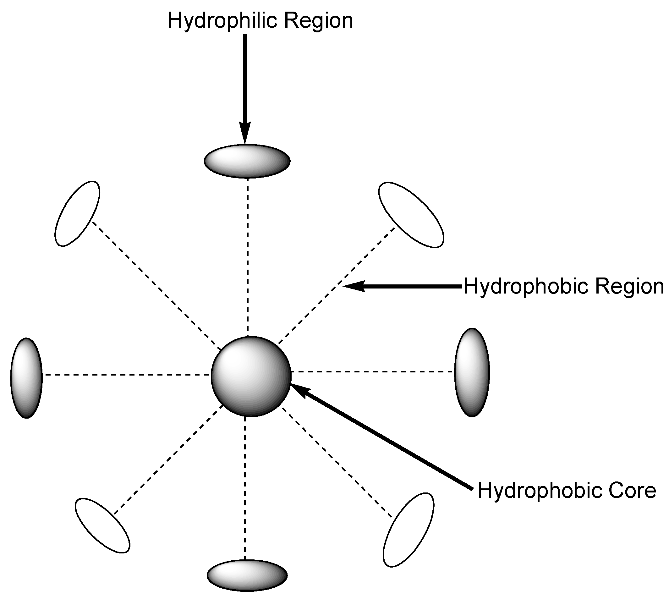 Nanomaterials 10 01556 g003