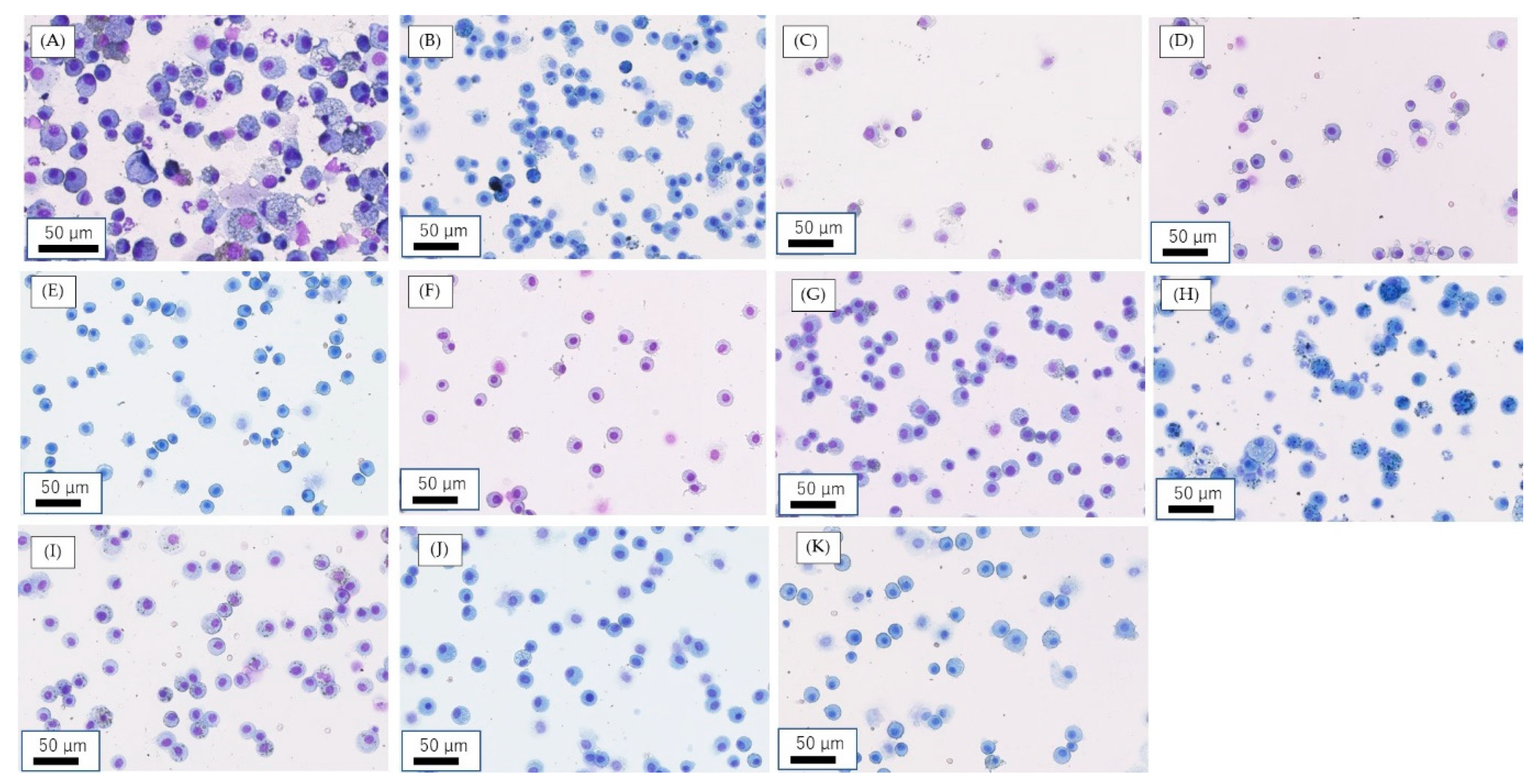 Nanomaterials 10 01563 g001
