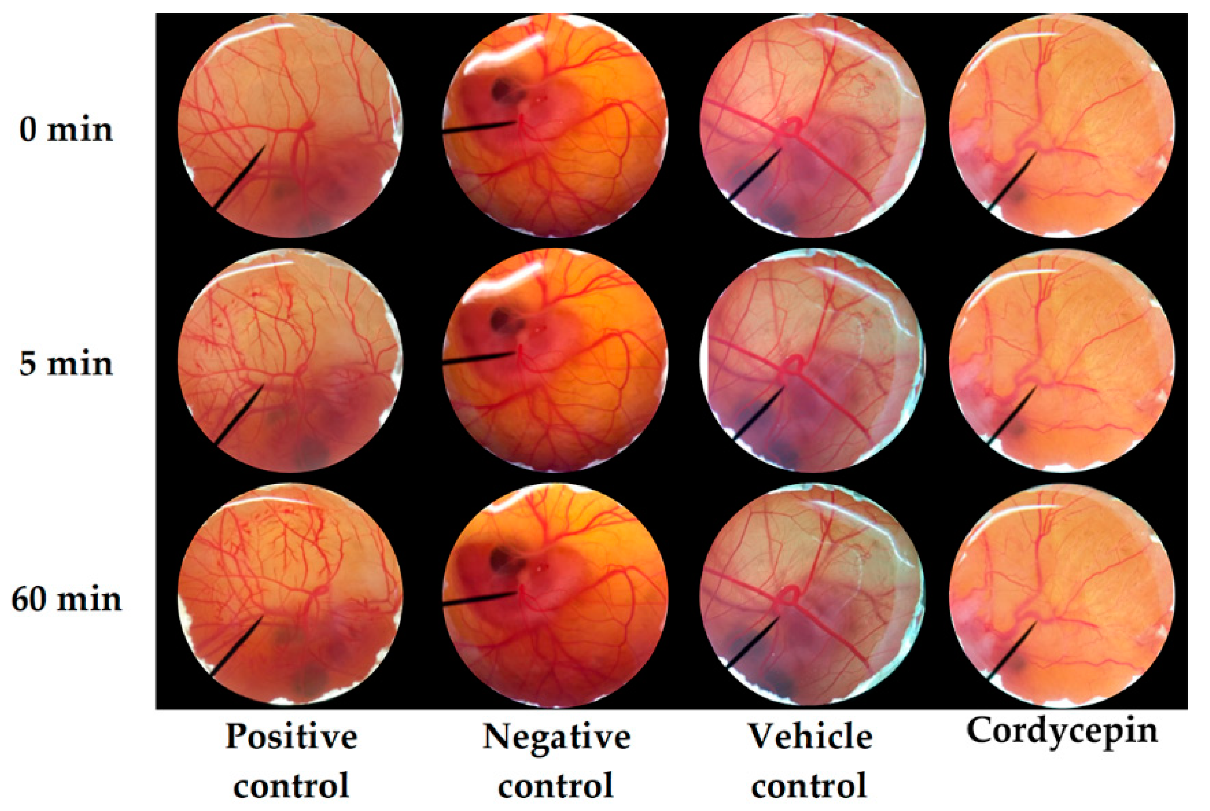 Nanomaterials 10 01565 g004 Nanomaterials 10 01565 g004