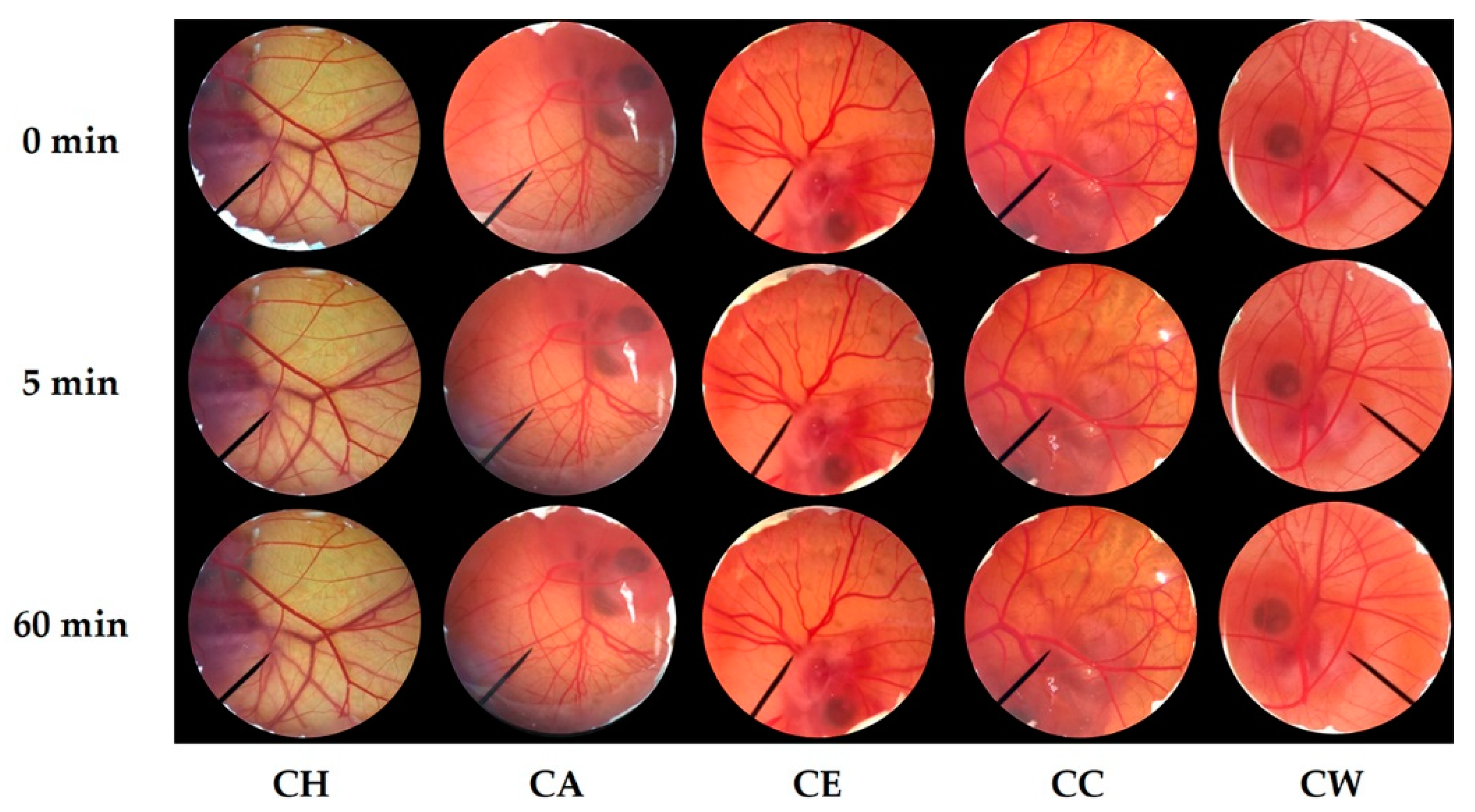 Nanomaterials 10 01565 g005 Nanomaterials 10 01565 g005