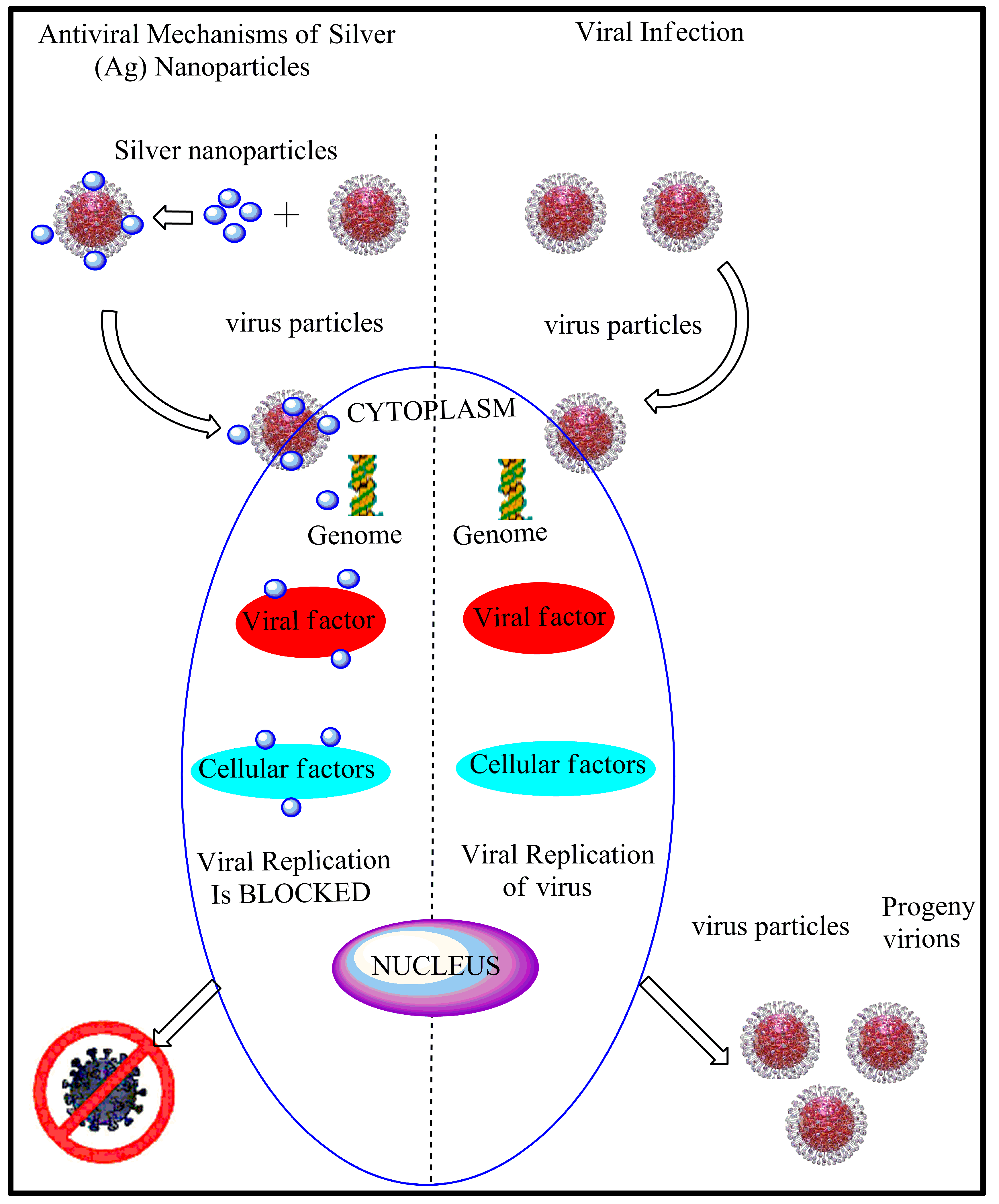Nanomaterials 10 01566 g003