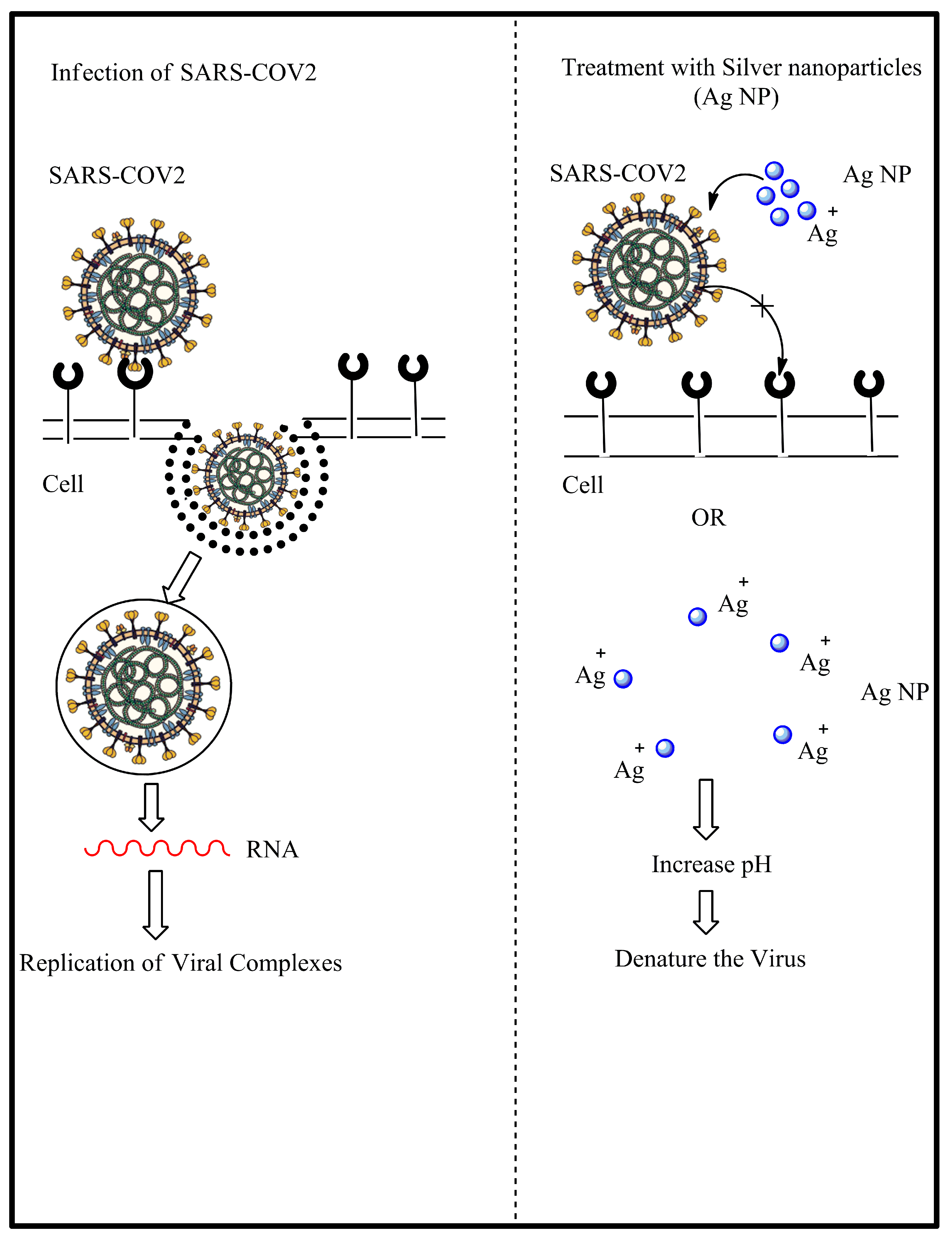 Nanomaterials 10 01566 g004