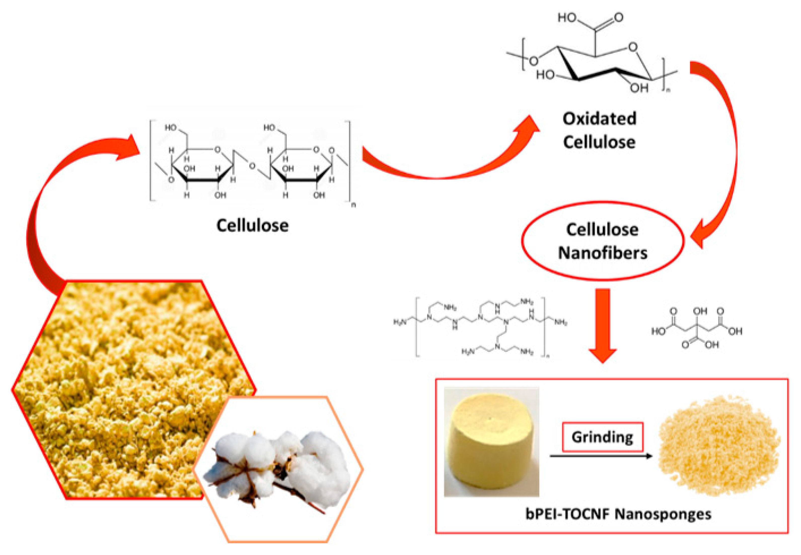Nanomaterials 10 01570 sch001 Nanomaterials 10 01570 sch001