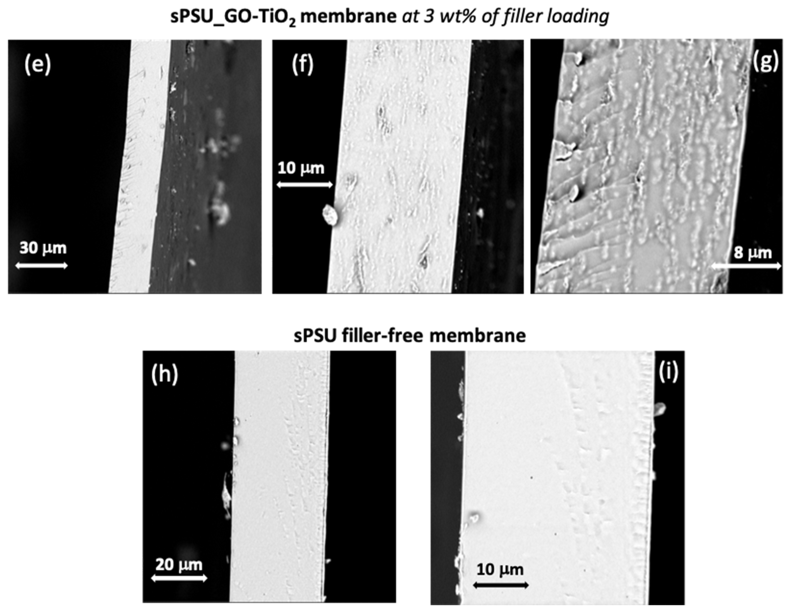 Nanomaterials 10 01572 g006b