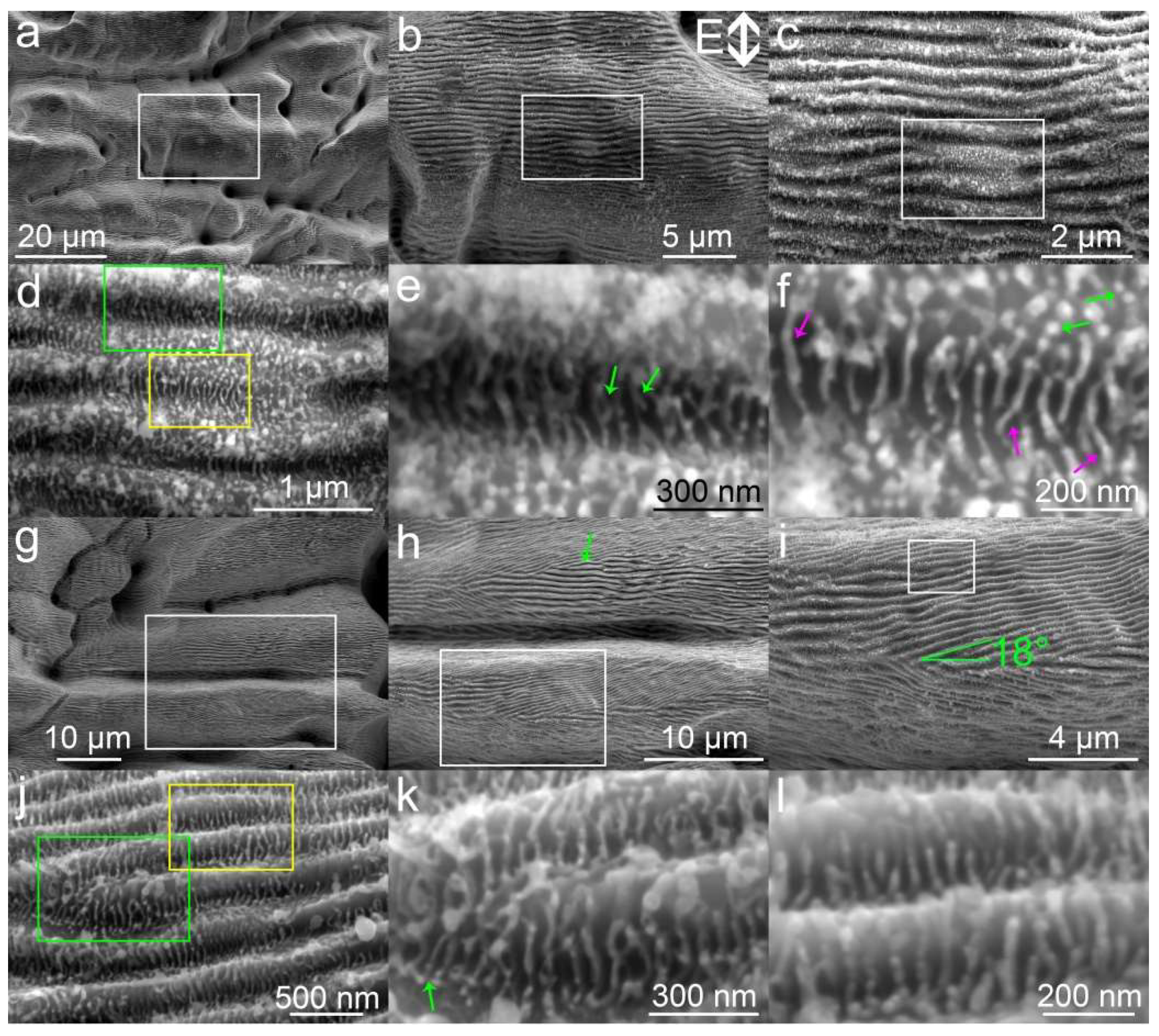 Nanomaterials 10 01573 g001