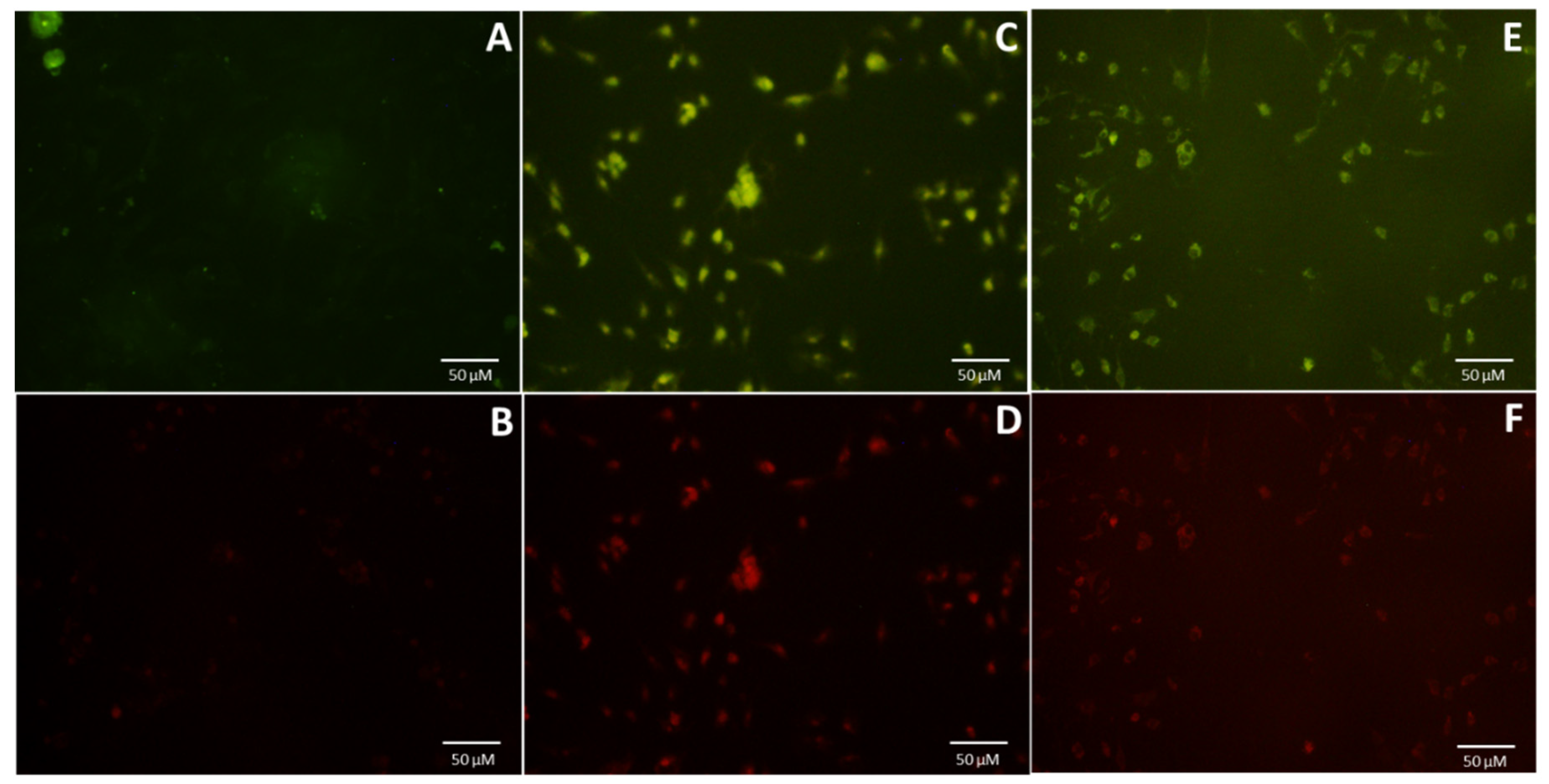Nanomaterials 10 01575 g005 Nanomaterials 10 01575 g005