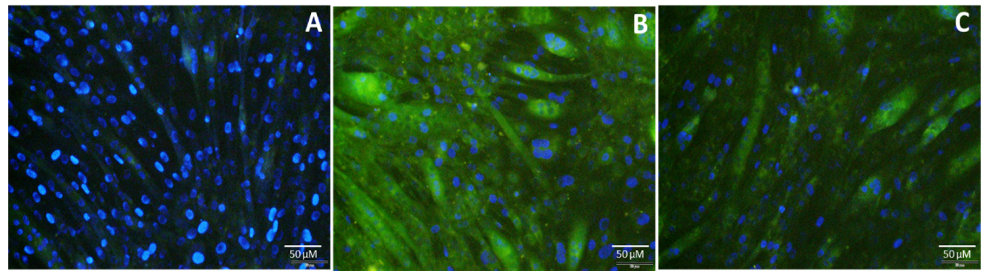 Nanomaterials 10 01575 g008 Nanomaterials 10 01575 g008