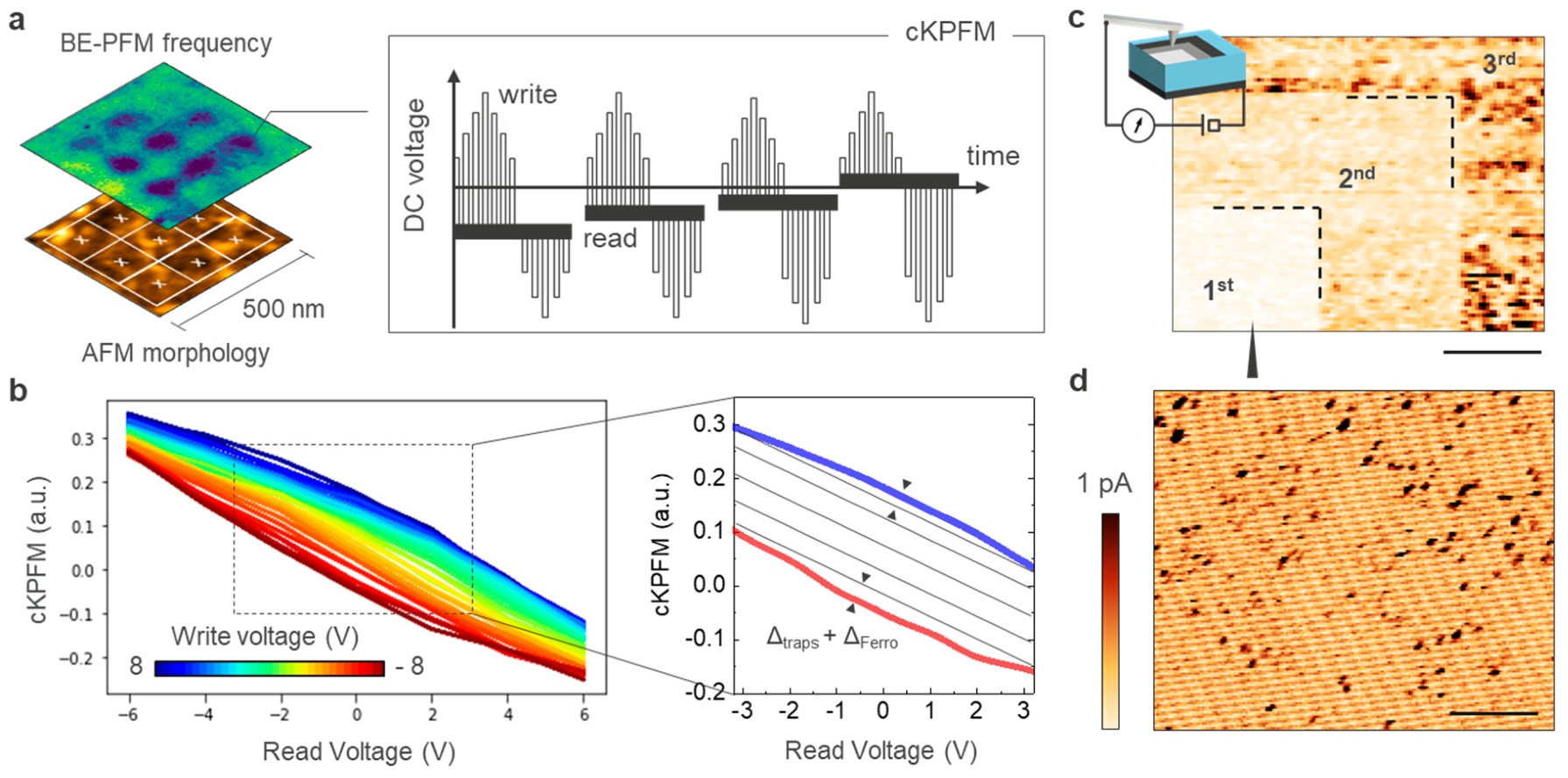 Nanomaterials 10 01576 g003