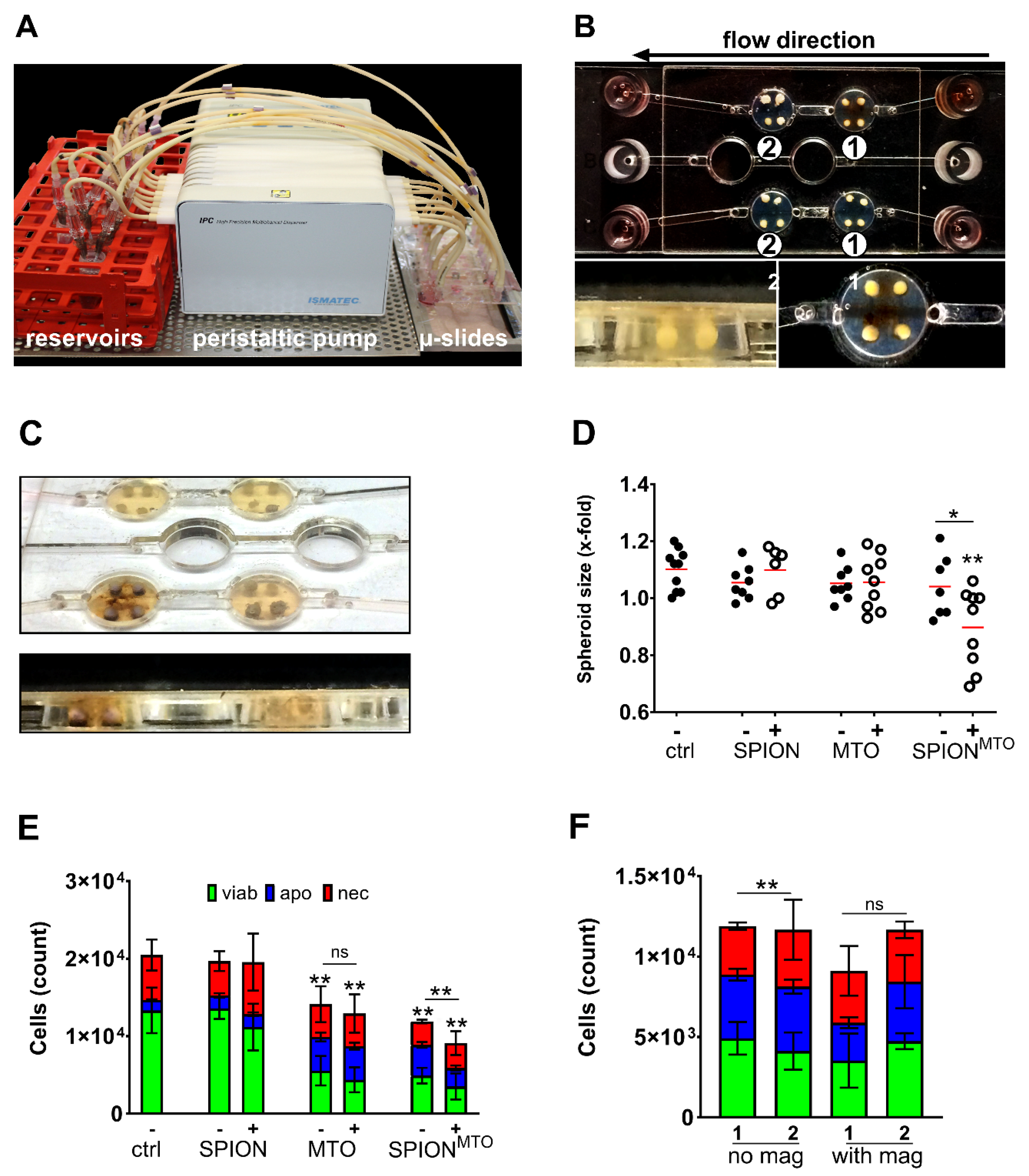 Nanomaterials 10 01577 g005 Nanomaterials 10 01577 g005