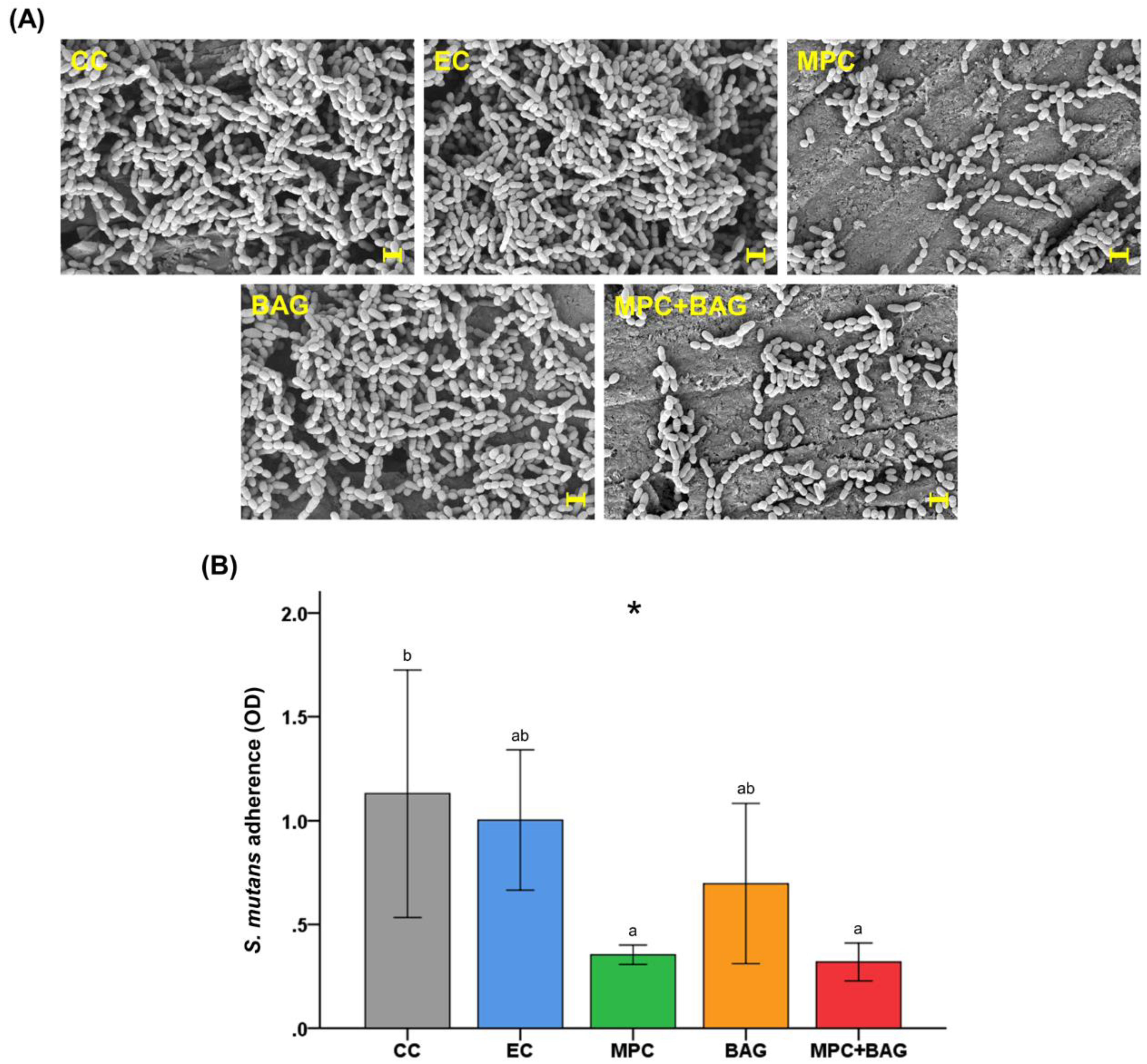 Nanomaterials 10 01581 g004 Nanomaterials 10 01581 g004