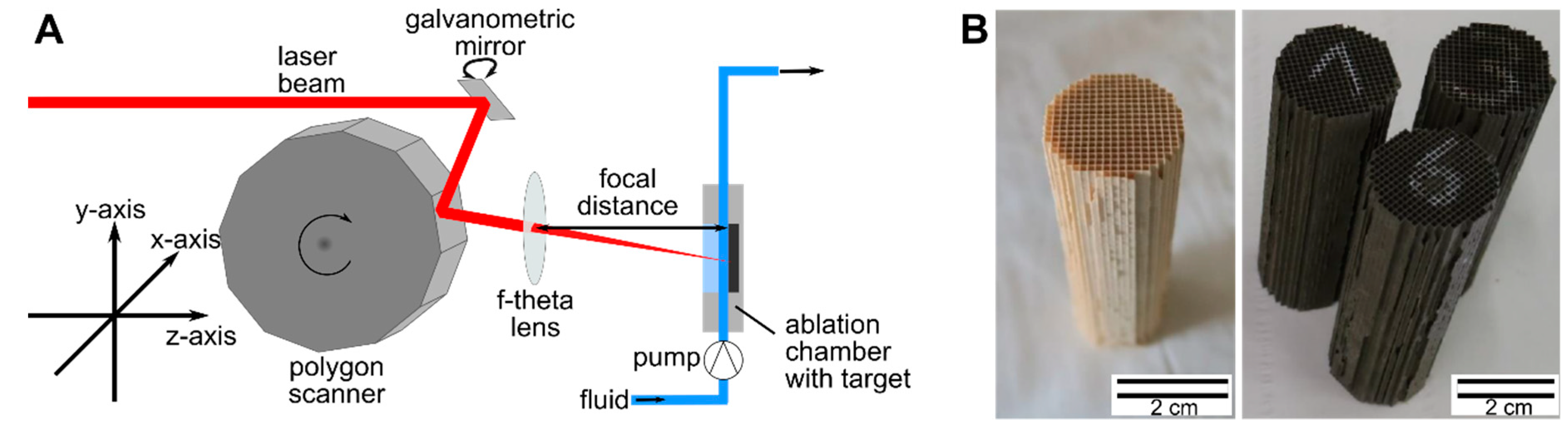 Nanomaterials 10 01582 g001