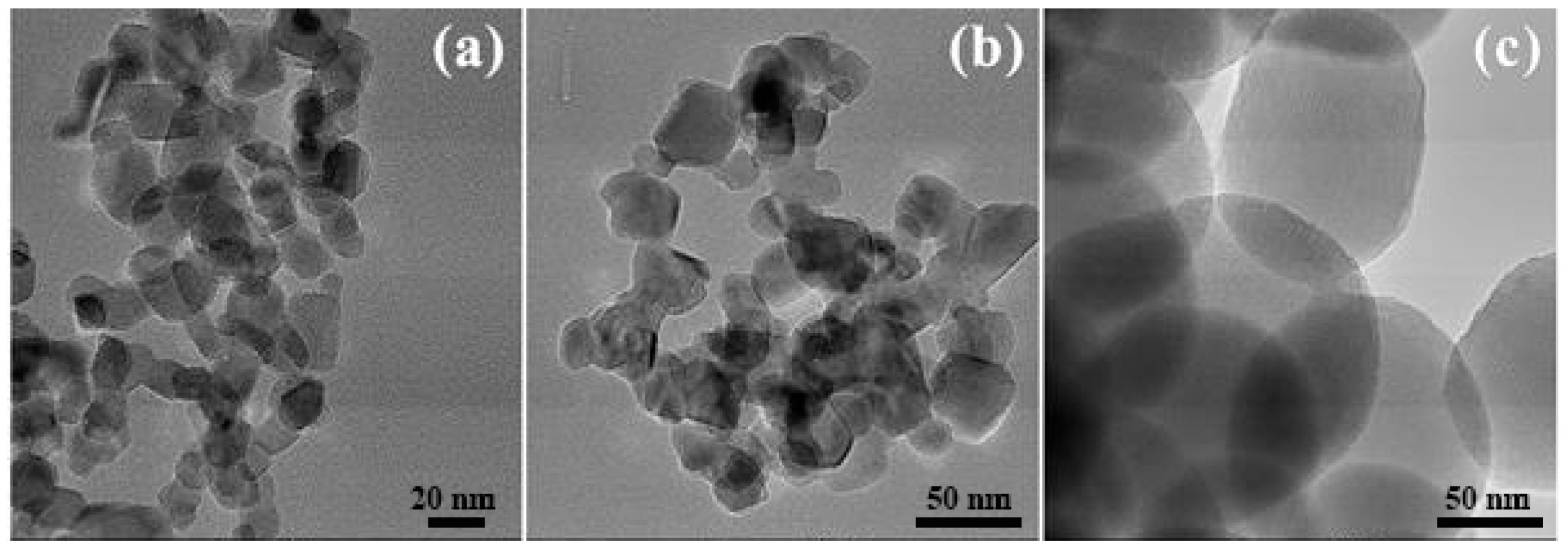 Nanomaterials 10 01591 g001 550