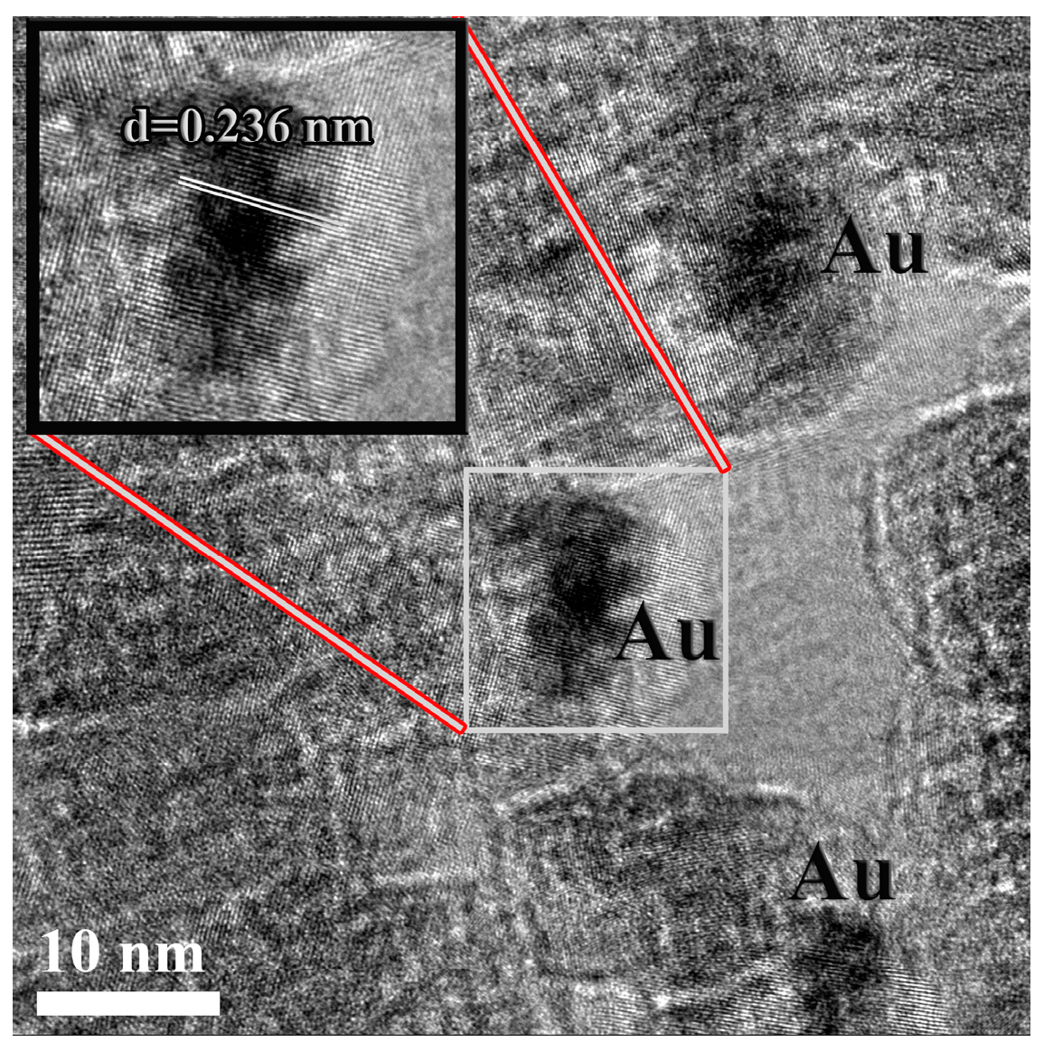 Nanomaterials 10 01591 g002 550