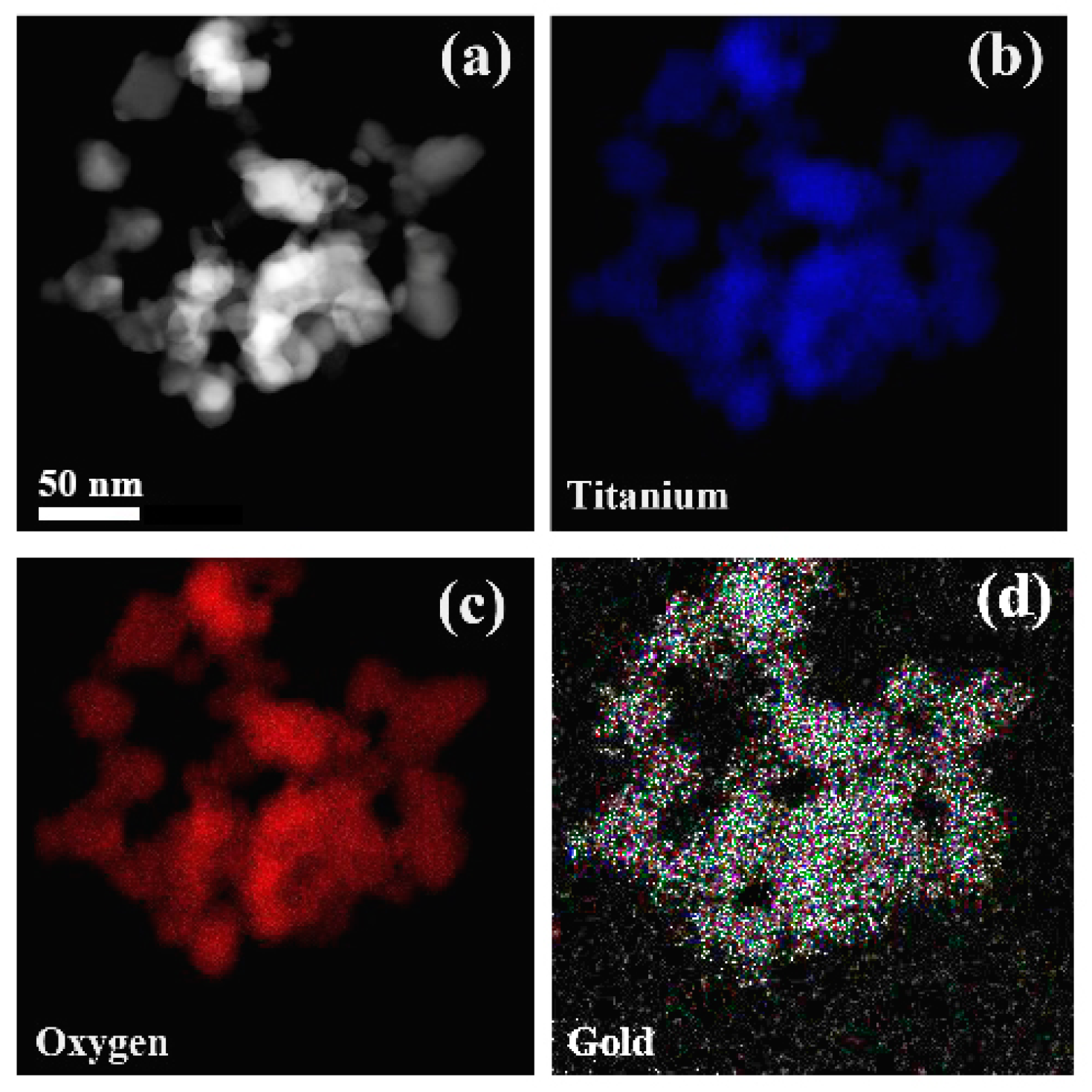 Nanomaterials 10 01591 g003 550