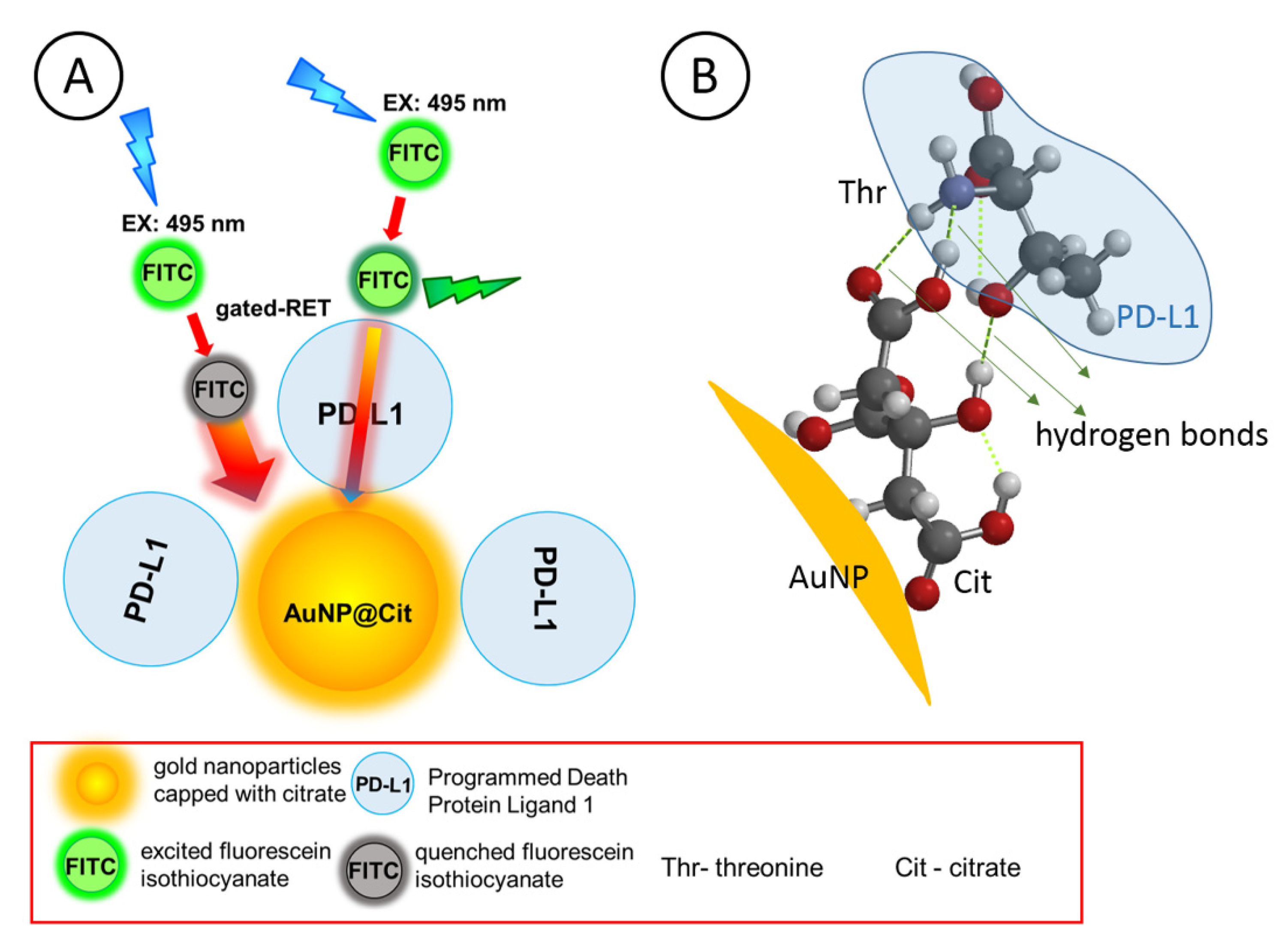 Nanomaterials 10 01592 g004