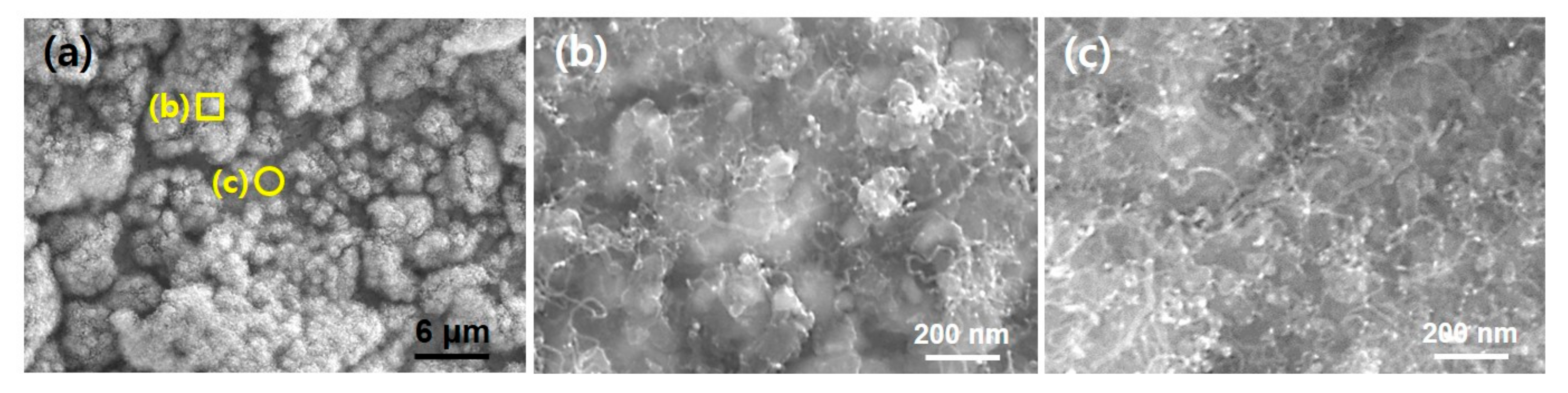 Nanomaterials 10 01595 g003