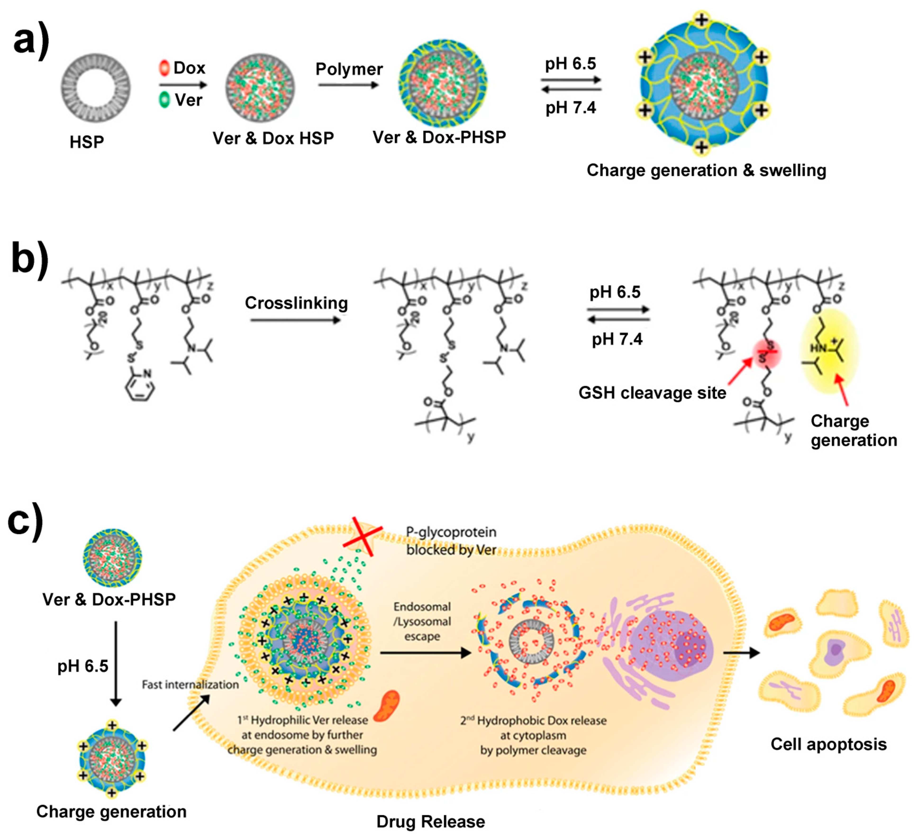 Nanomaterials 10 01599 g004 Nanomaterials 10 01599 g004