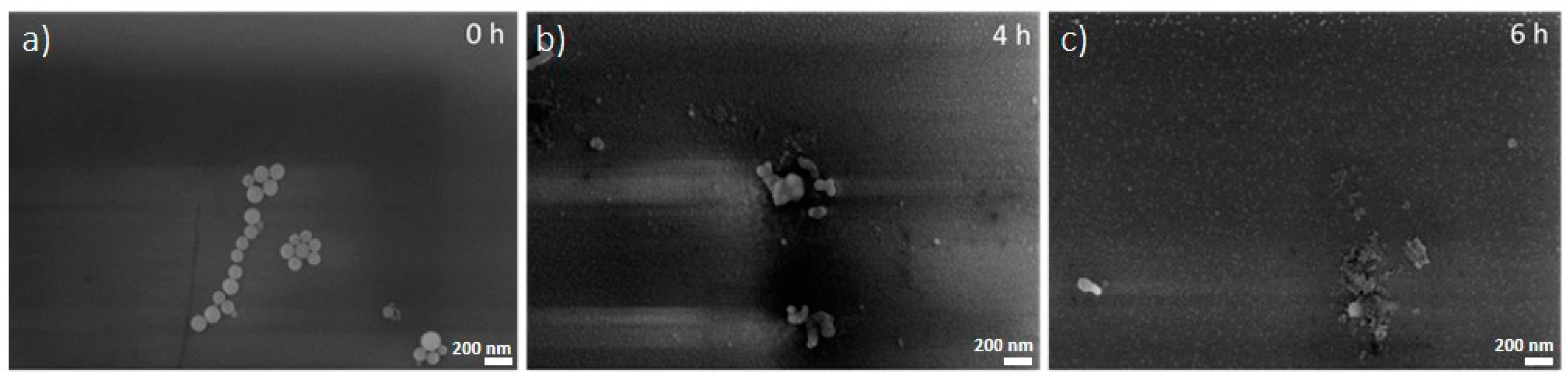 Nanomaterials 10 01600 g002 Nanomaterials 10 01600 g002