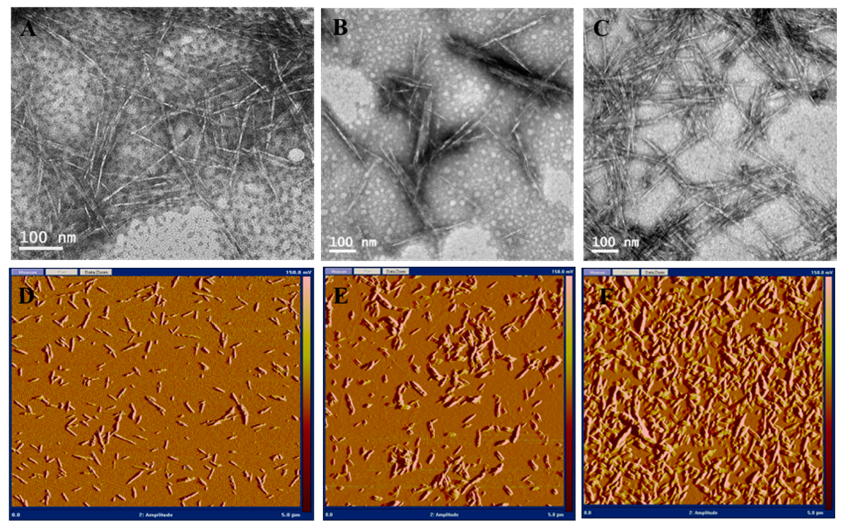 Nanomaterials 10 01603 g002 Nanomaterials 10 01603 g002
