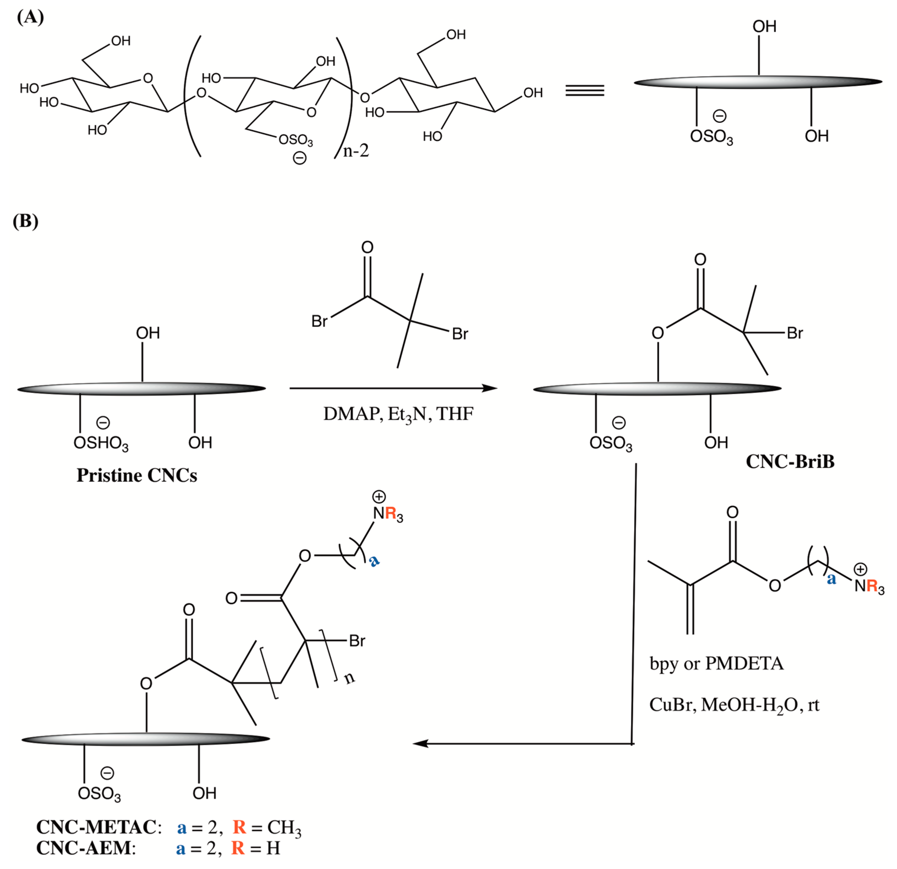 Nanomaterials 10 01603 sch001 Nanomaterials 10 01603 sch001