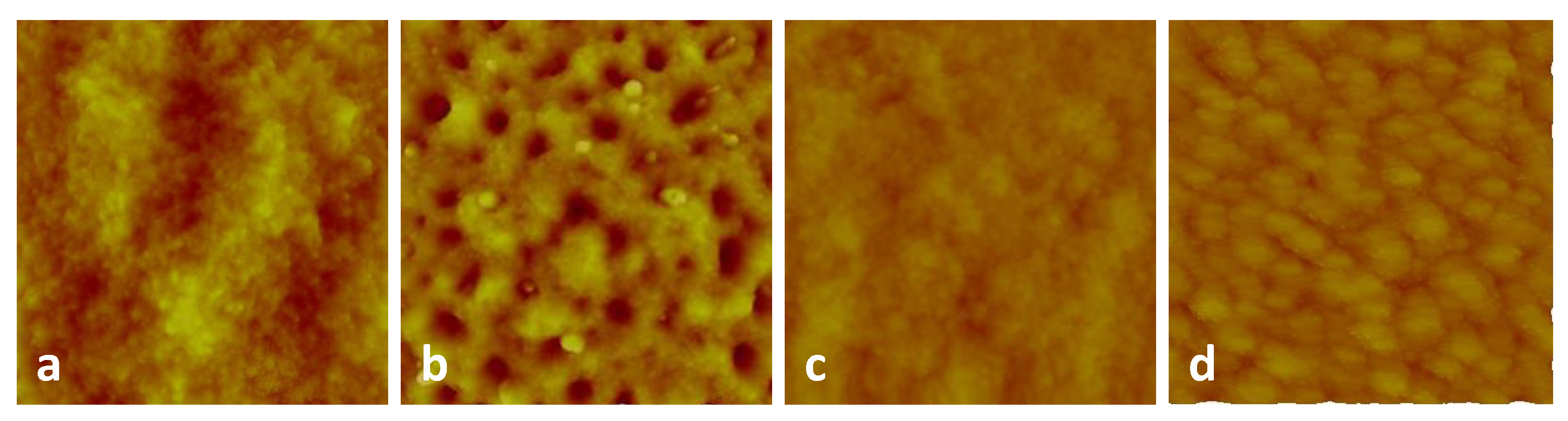 Nanomaterials 10 01605 g002 Nanomaterials 10 01605 g002