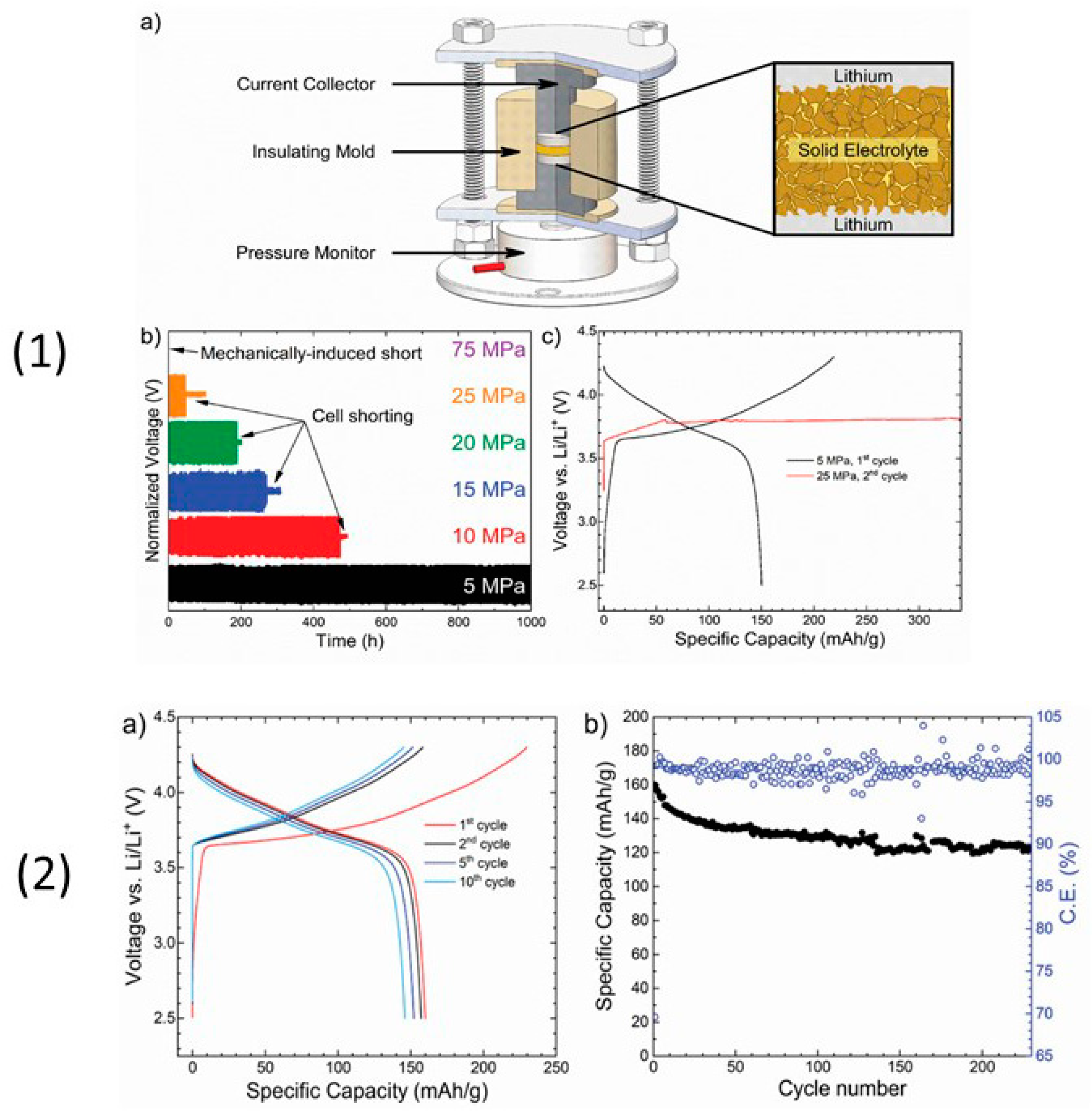 Nanomaterials 10 01606 g007