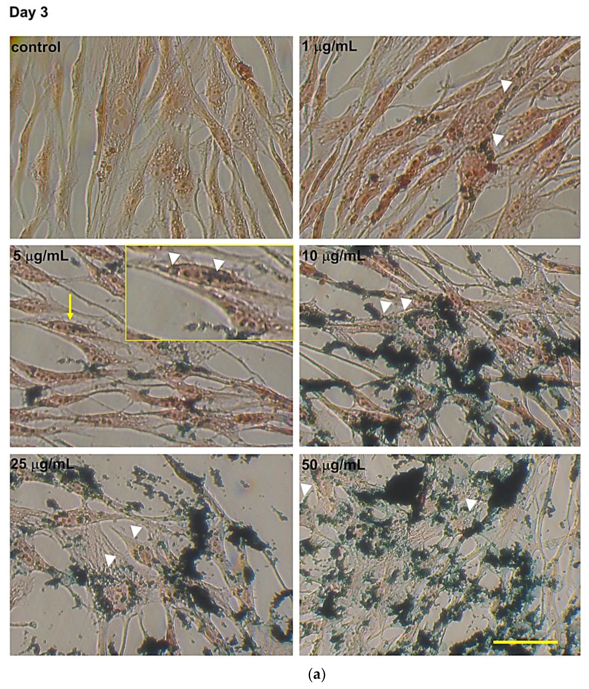 Nanomaterials 10 01607 g004a