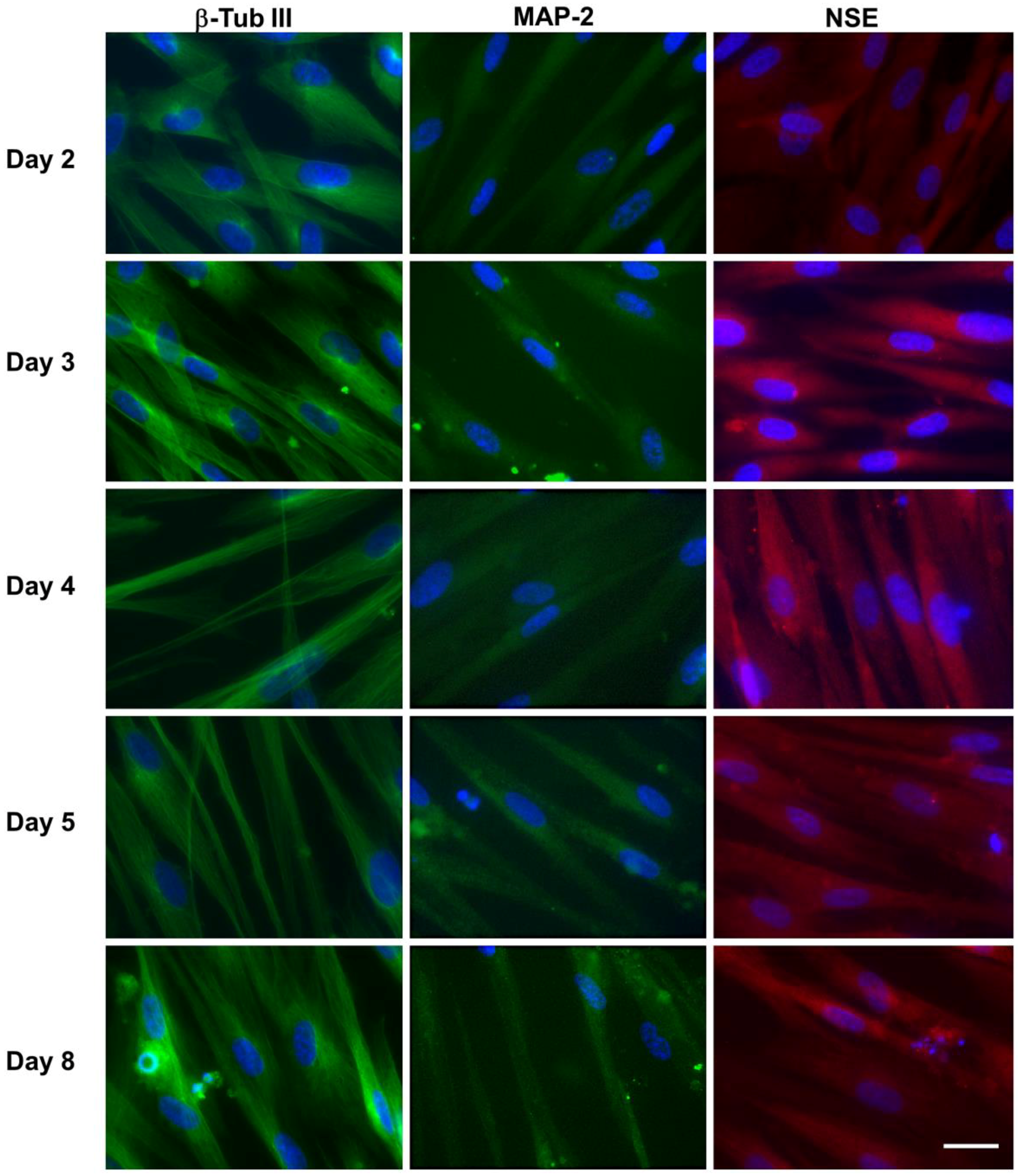 Nanomaterials 10 01607 g005