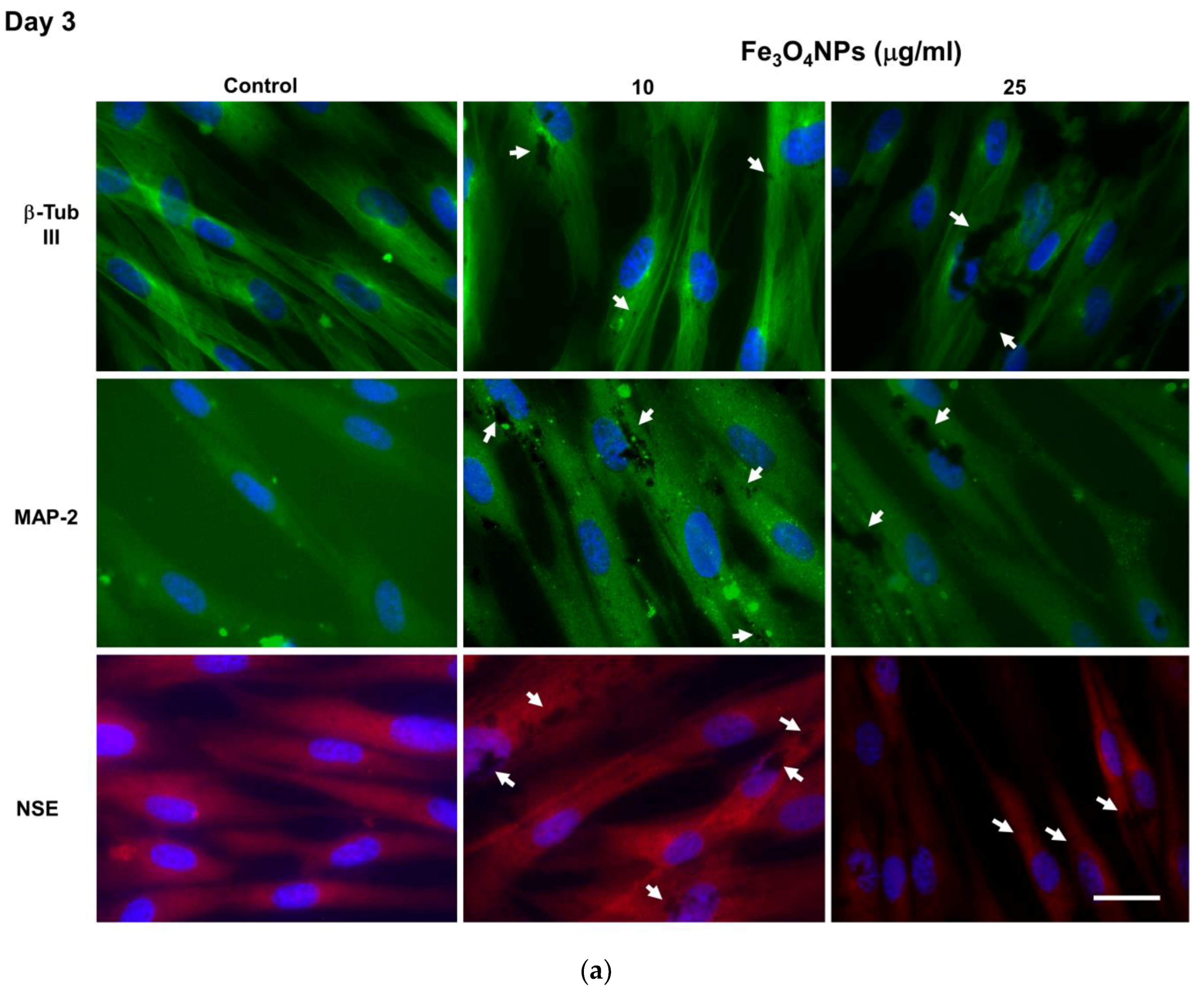 Nanomaterials 10 01607 g007a