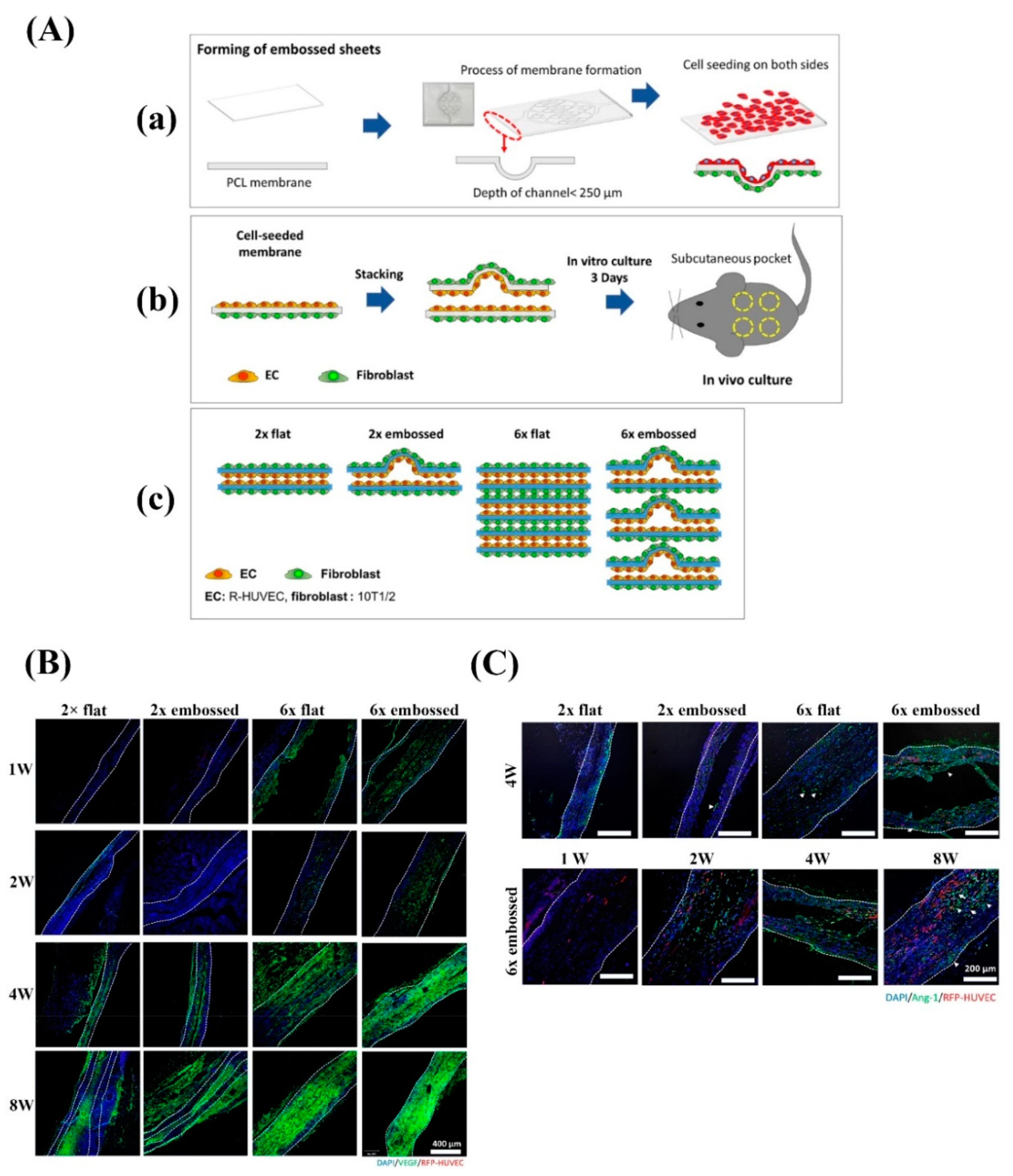 Nanomaterials 10 01609 g002