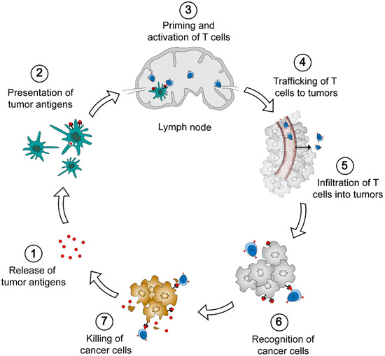 pH-Responsive Nanoparticles for Cancer Immunotherapy: A