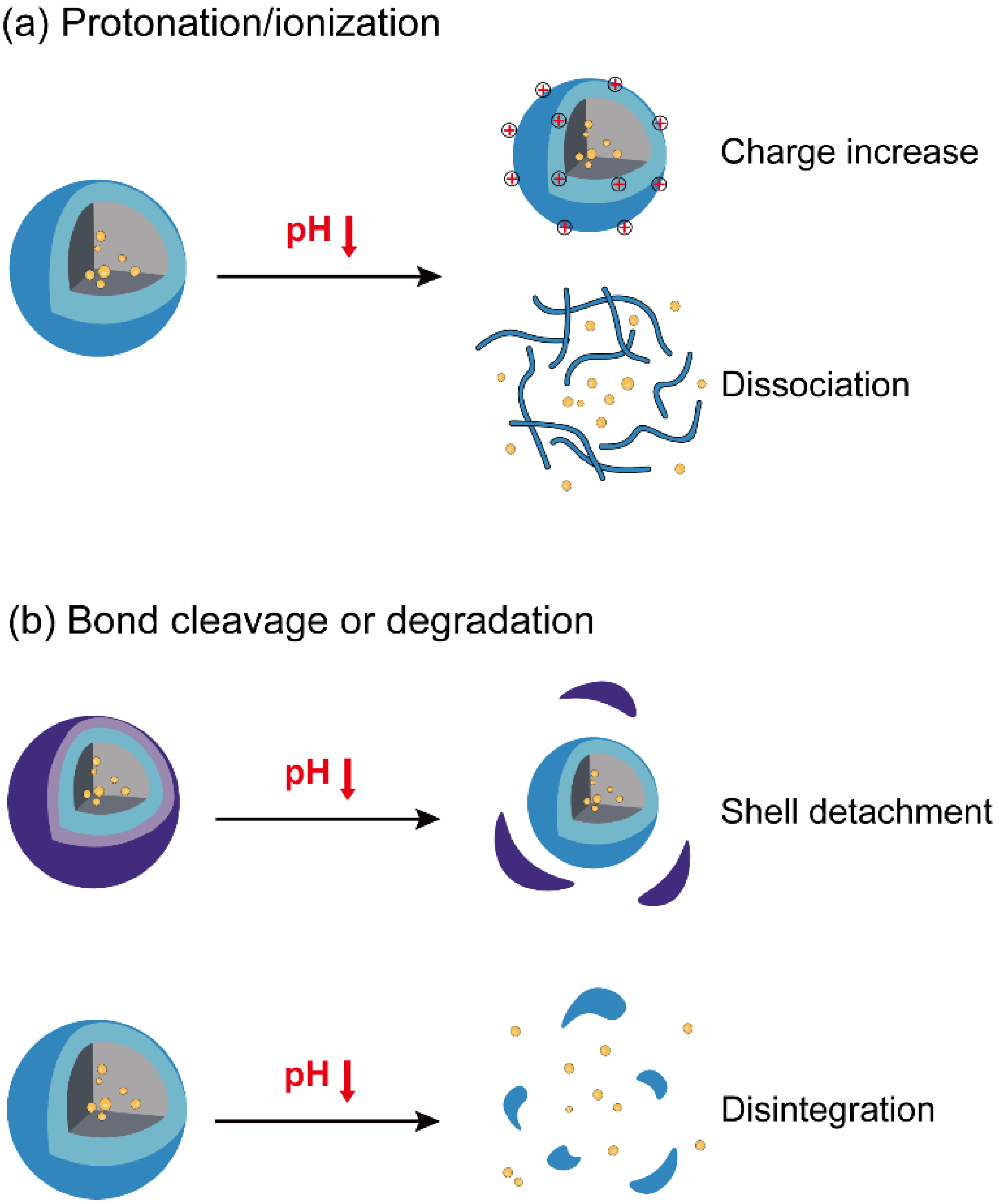 Nanomaterials 10 01613 g002 Nanomaterials 10 01613 g002